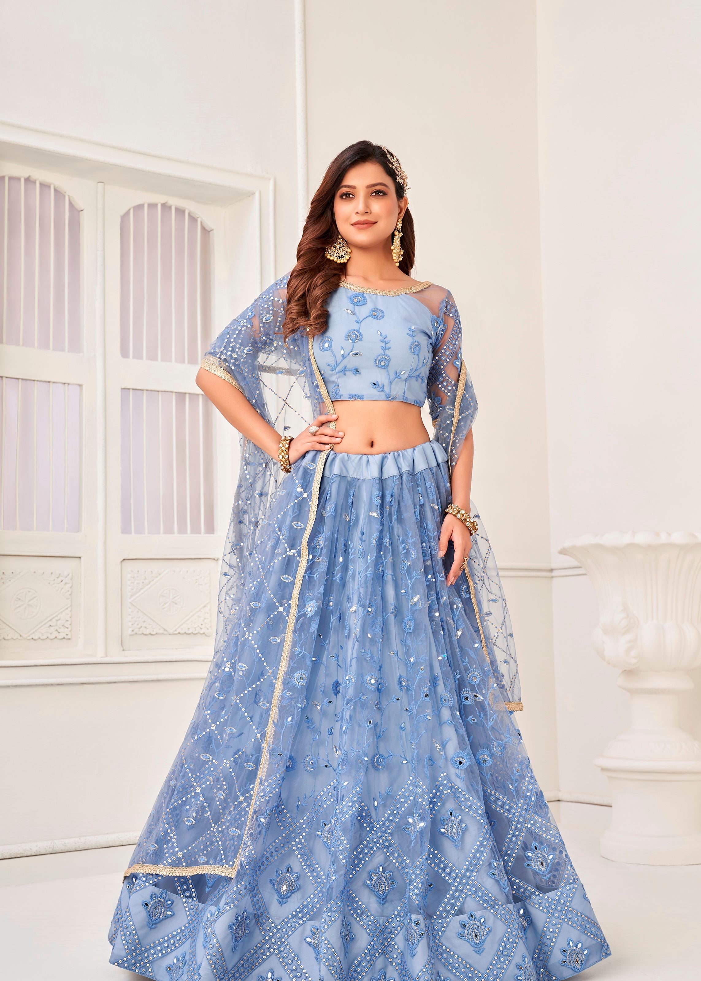 Blue Butterfly Net Lehenga Choli With Tone To Tone Thread Embroidery And Sequins Work