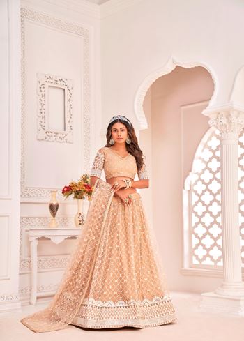 Dusty Chiku Net Lehenga Choli With Thread Embroidery Work