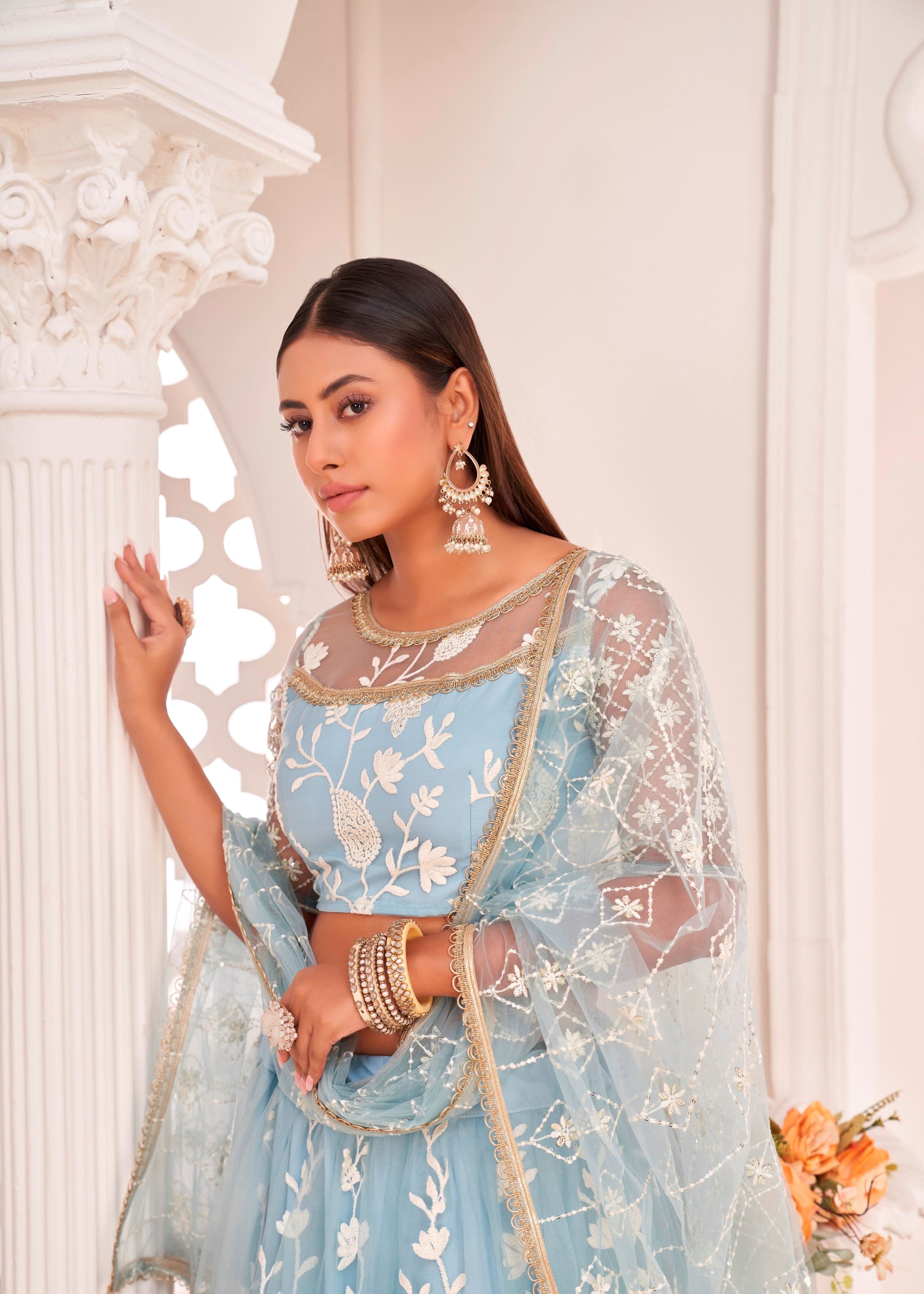 Blue Butterfly Net Lehenga Choli With Thread Embroidery Work