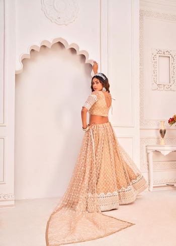 Dusty Chiku Net Lehenga Choli With Thread Embroidery Work