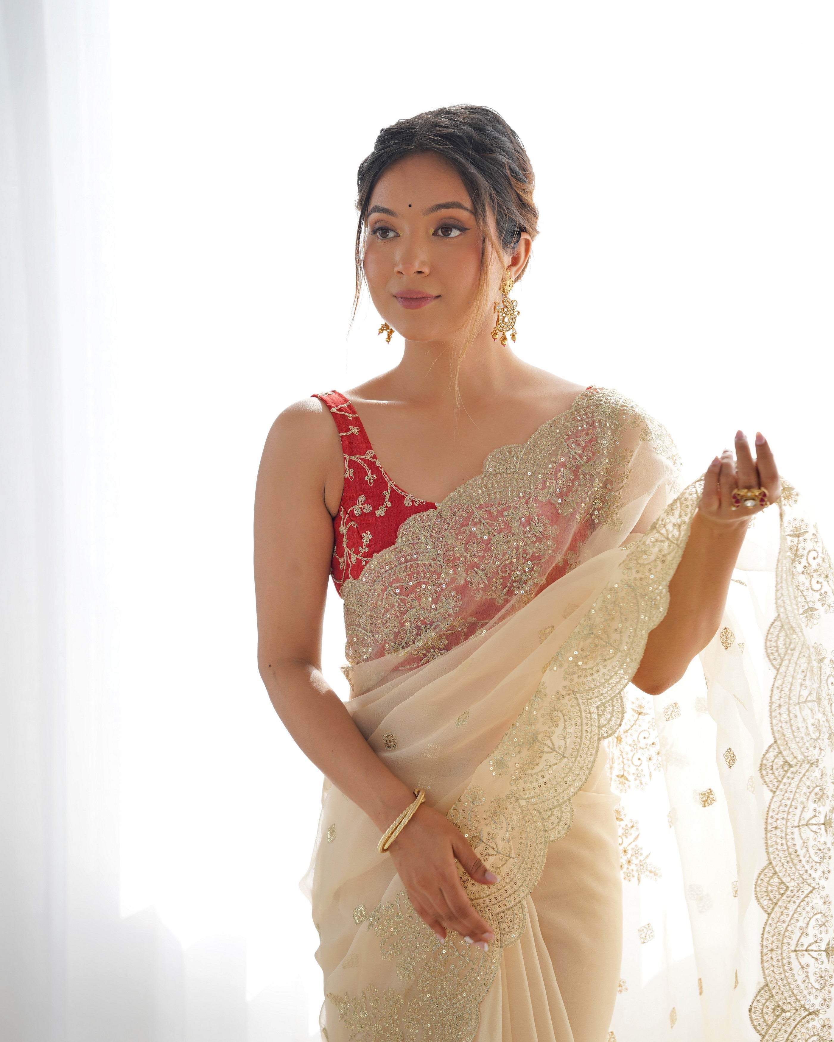 Beige Nylone Organza Beautiful Bollywood Style Show Stopper Saree