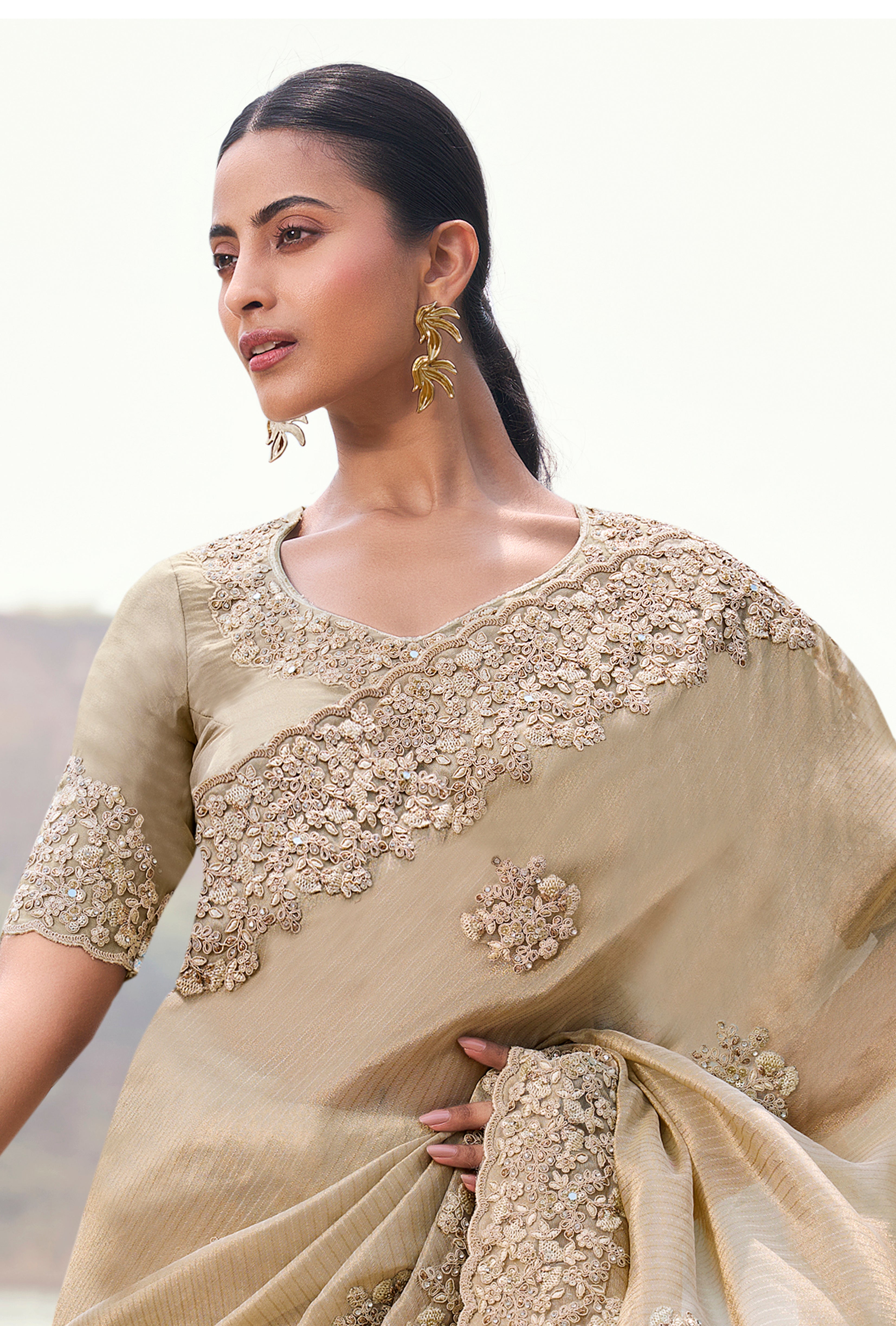 Beige Saree With Heavy Thread Embroidered With Sequins Work