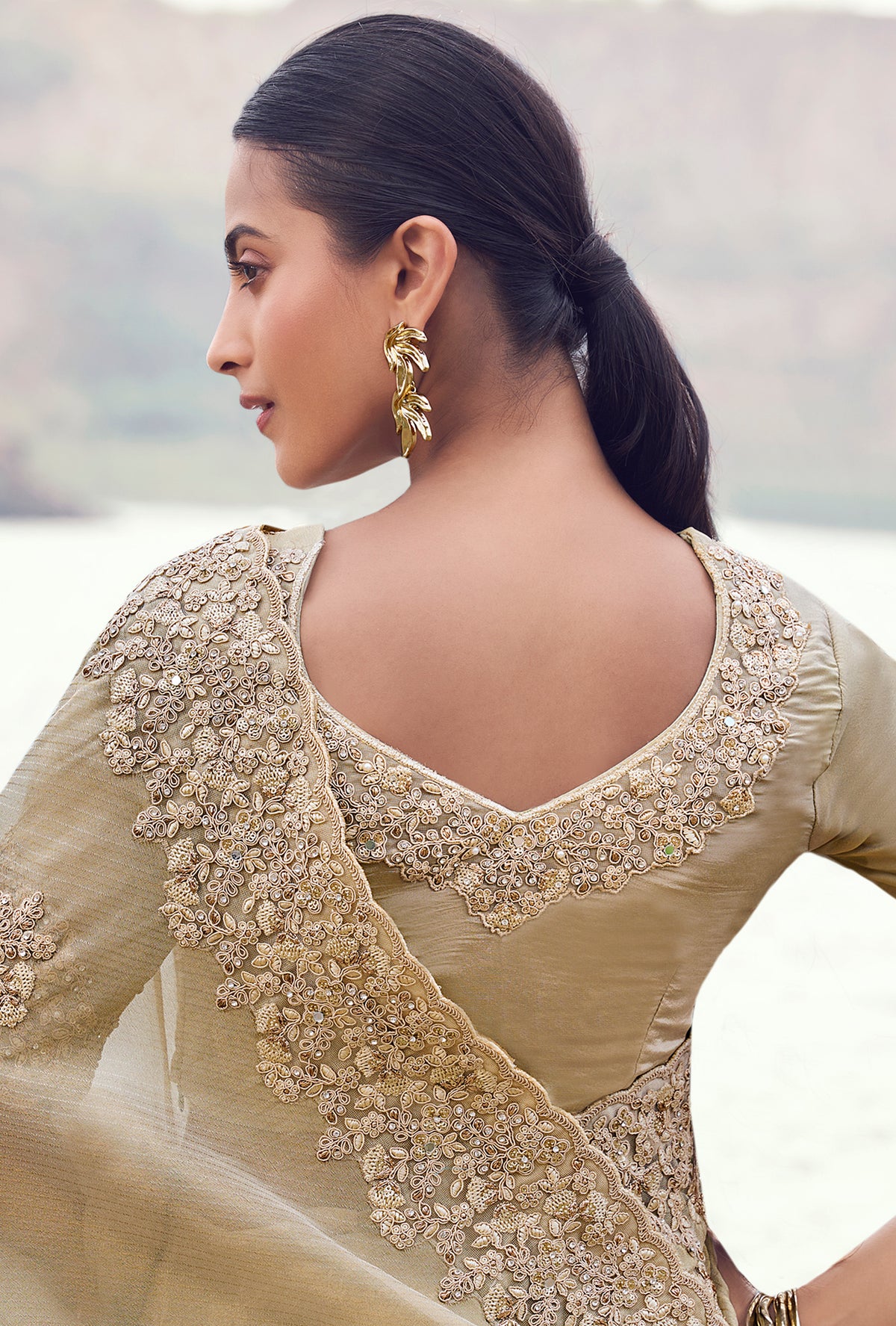 Beige Saree With Heavy Thread Embroidered With Sequins Work
