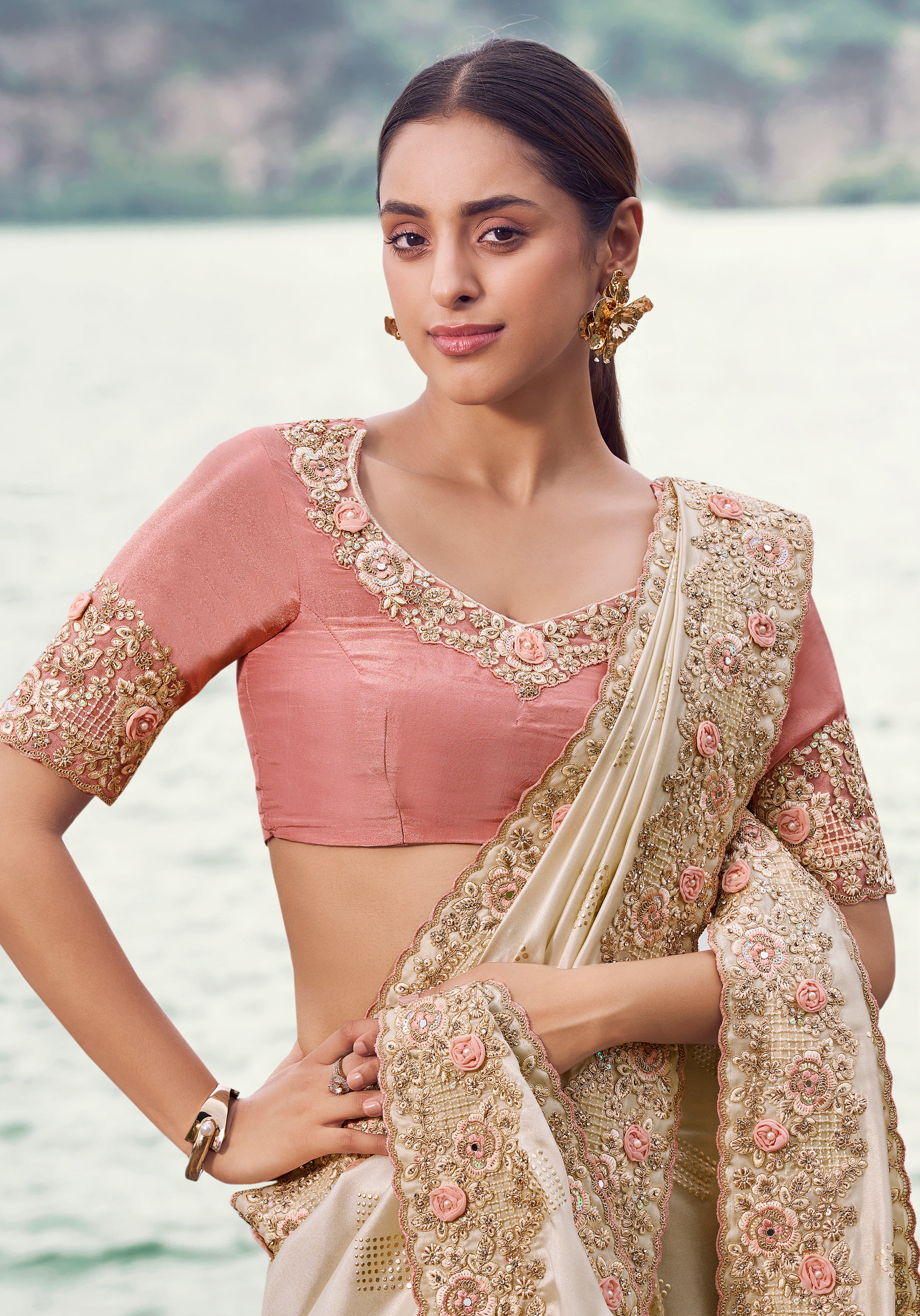 Chiku Saree With Fancy Work saree With Embroidered Border & Blouse