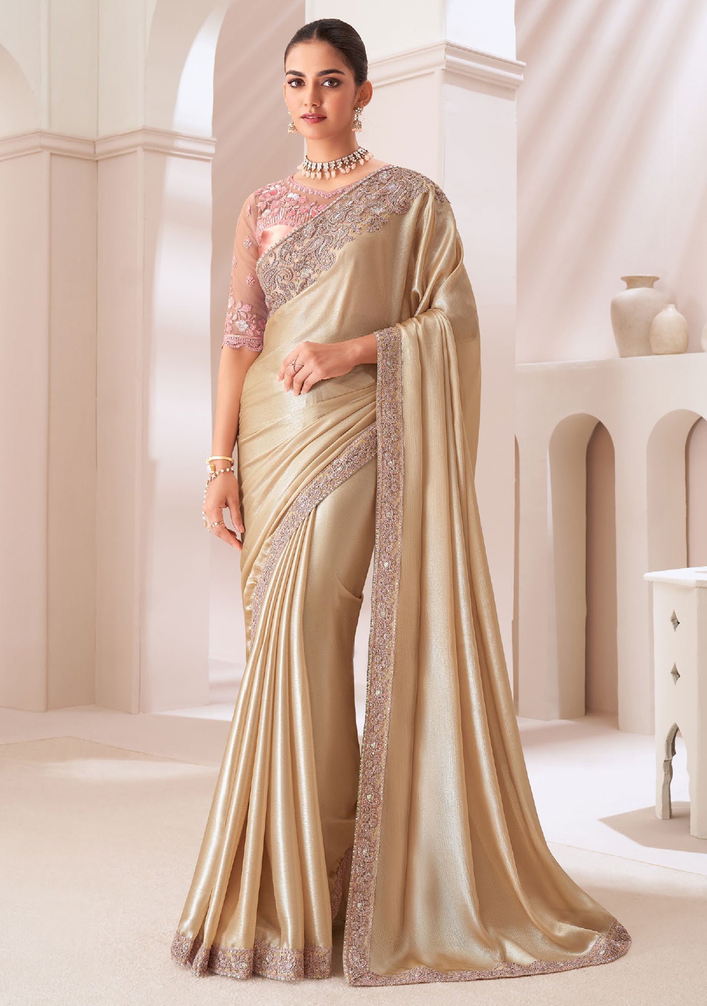 Chiku Saree With Heavy Embroidered Work