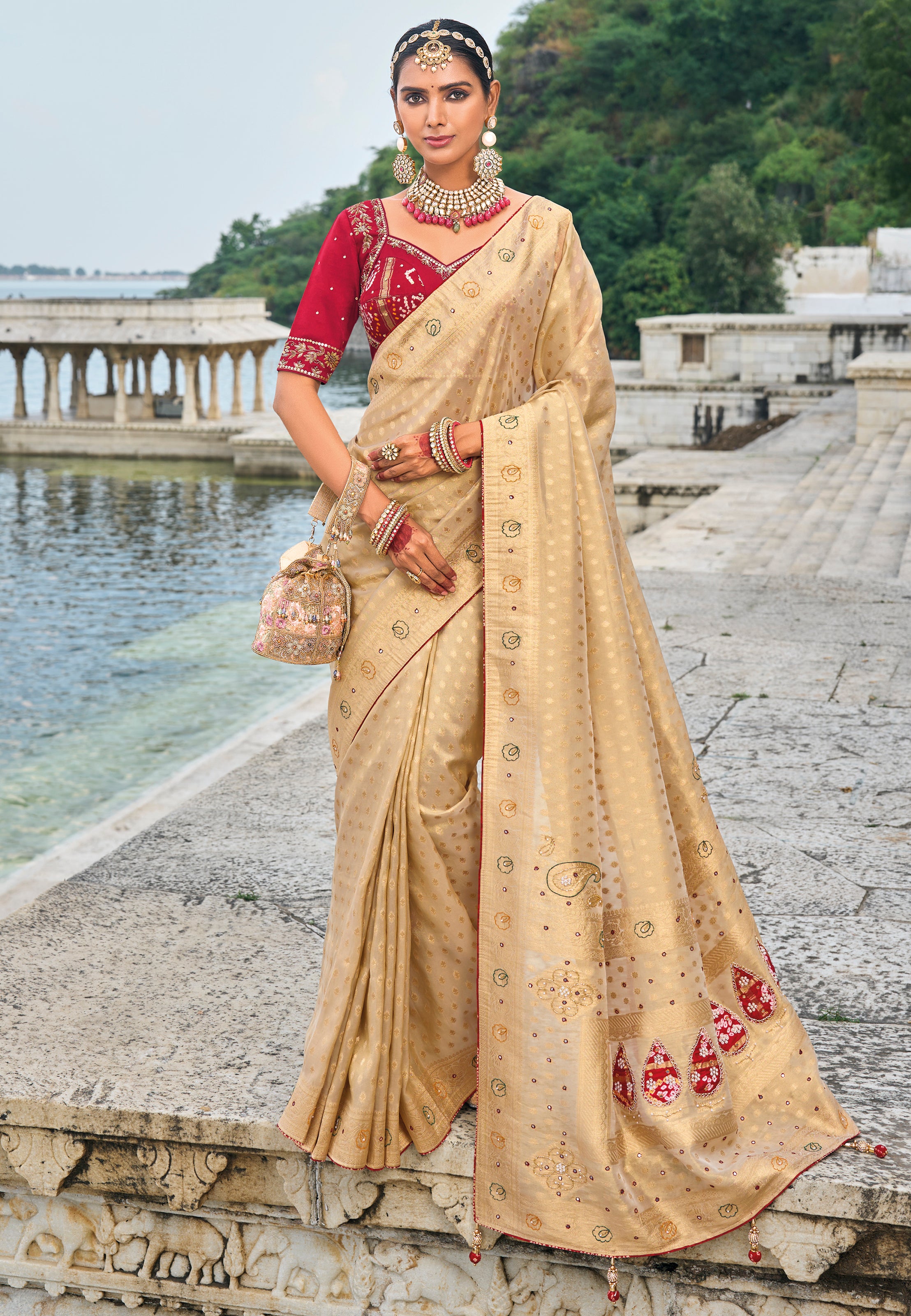 Chiku Saree With Heavy Embroidered Work