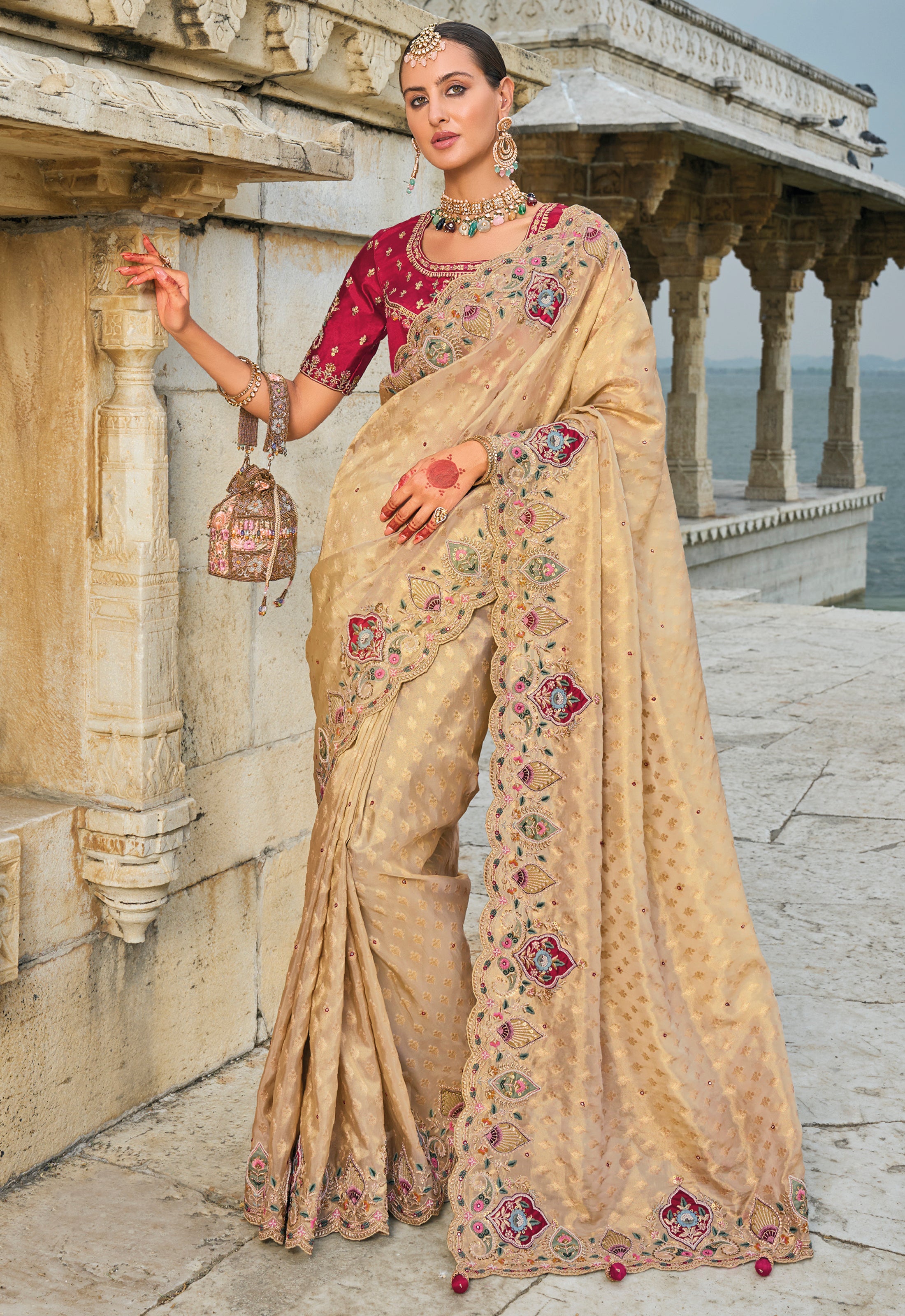 Chiku Saree With Heavy Embroidered Work