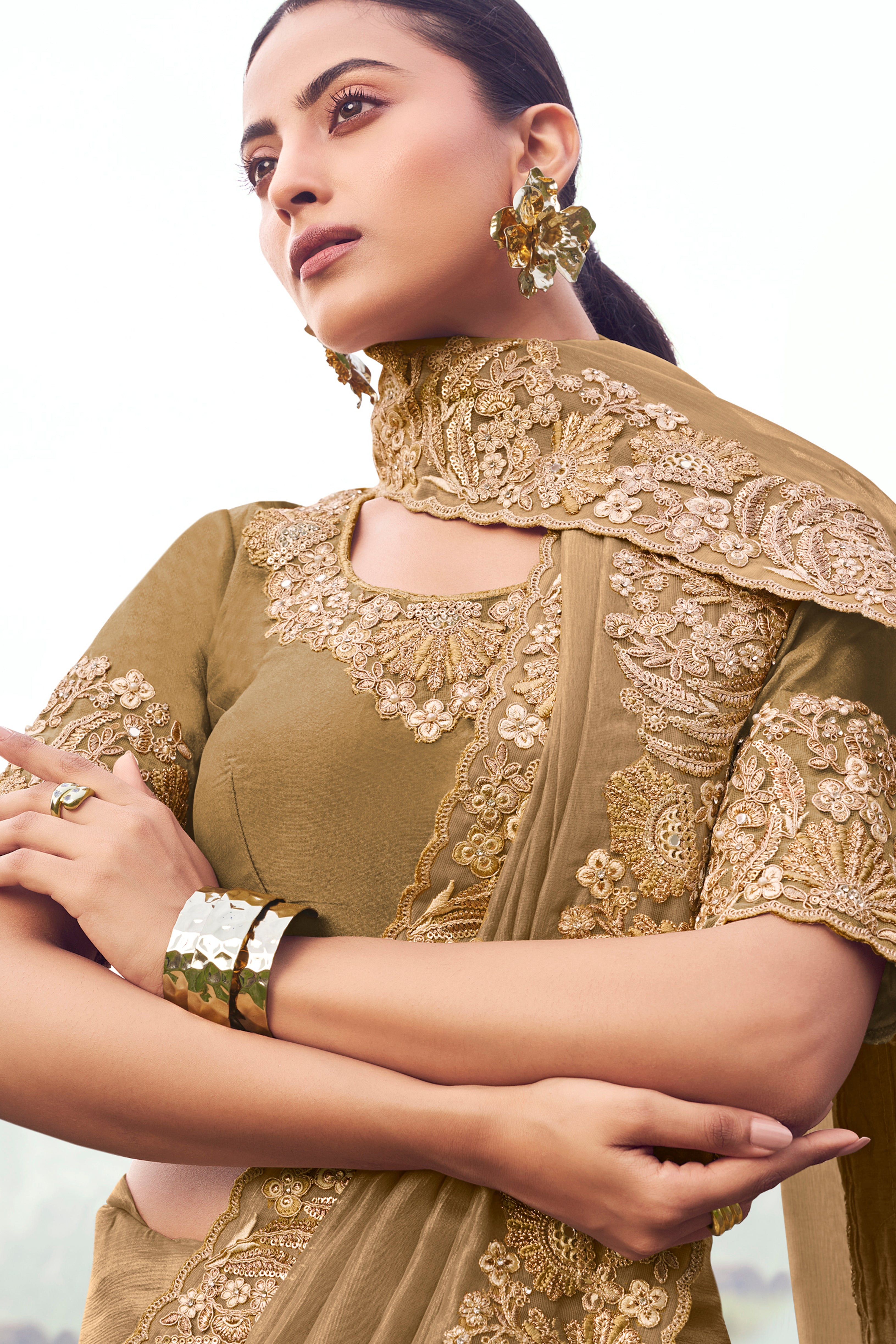 Chiku Saree With Heavy Thread Embroidered With Sequins Work