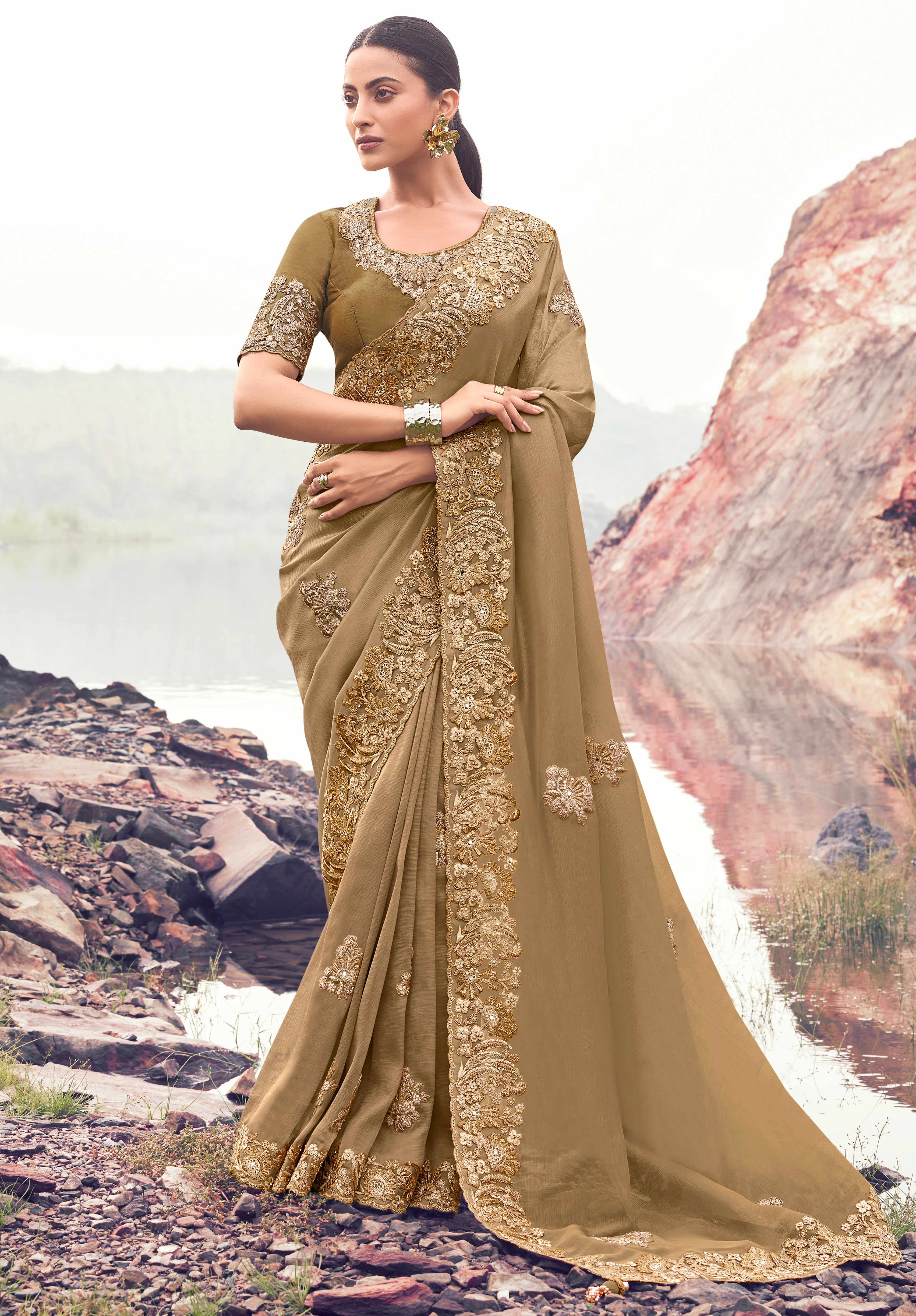 Chiku Saree With Heavy Thread Embroidered With Sequins Work