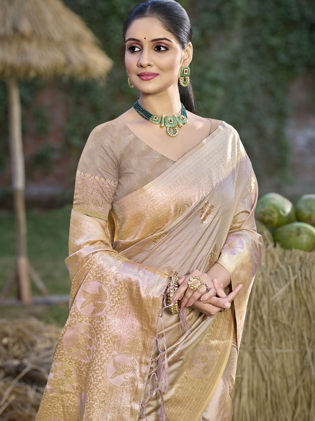 Light Brown Banarasi Silk Traditional Saree