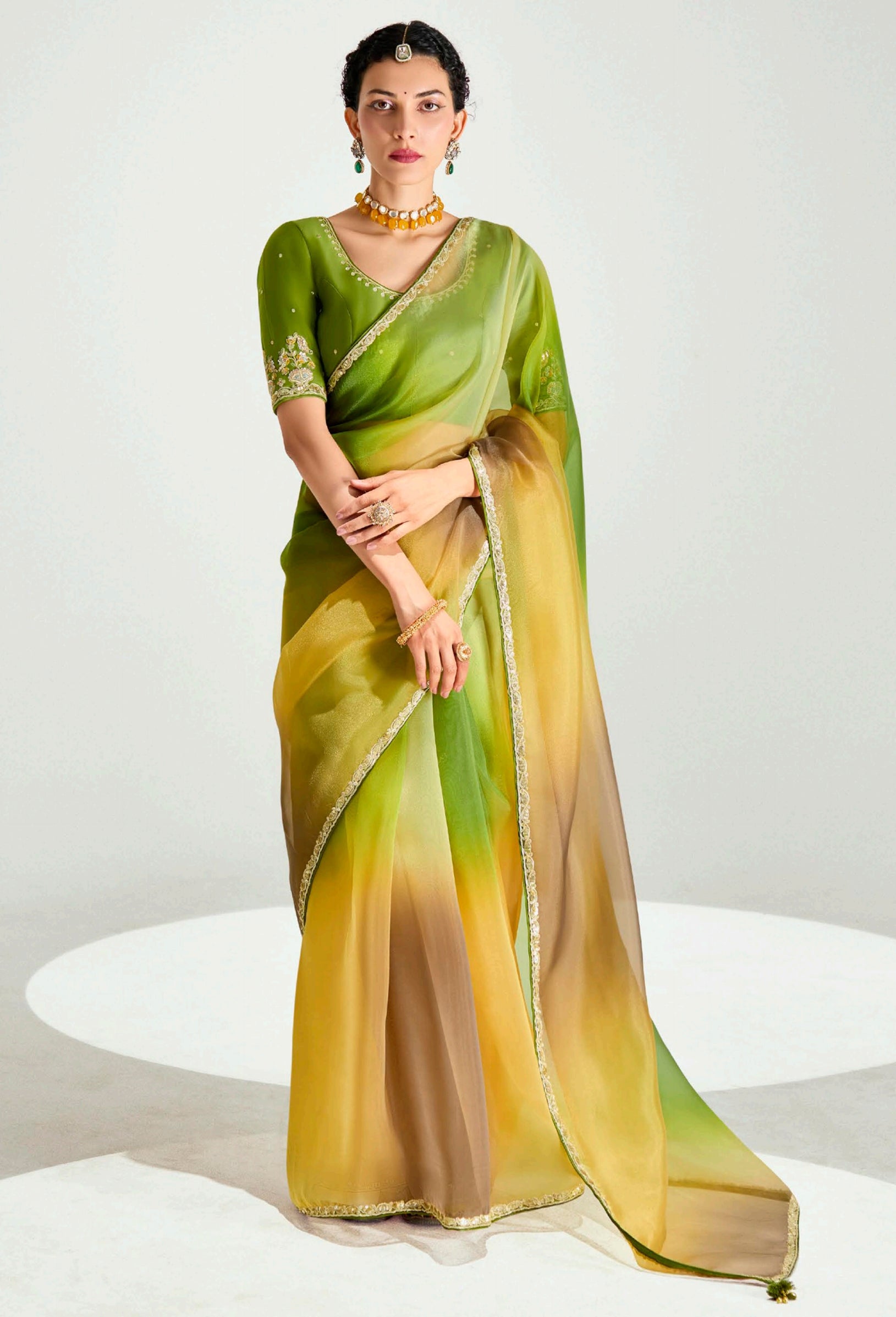 Multicolor Organza Tissue Saree With Border Work & Embroidered Blouse