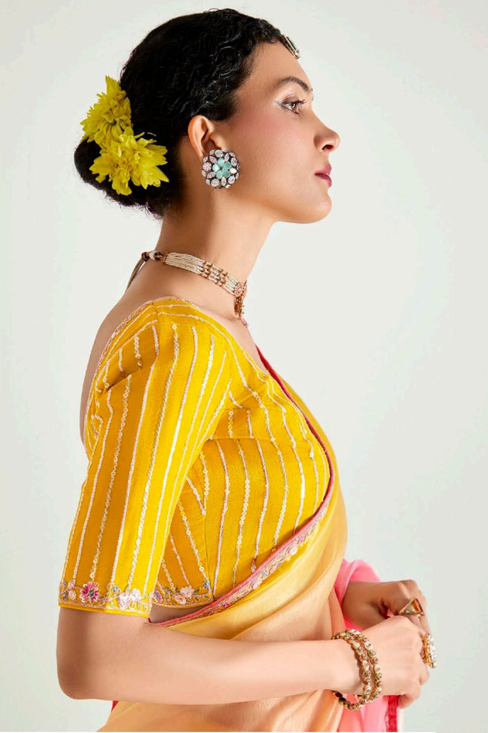 Multicolor Organza Tissue Saree With Border Work and Embroidered Blouse