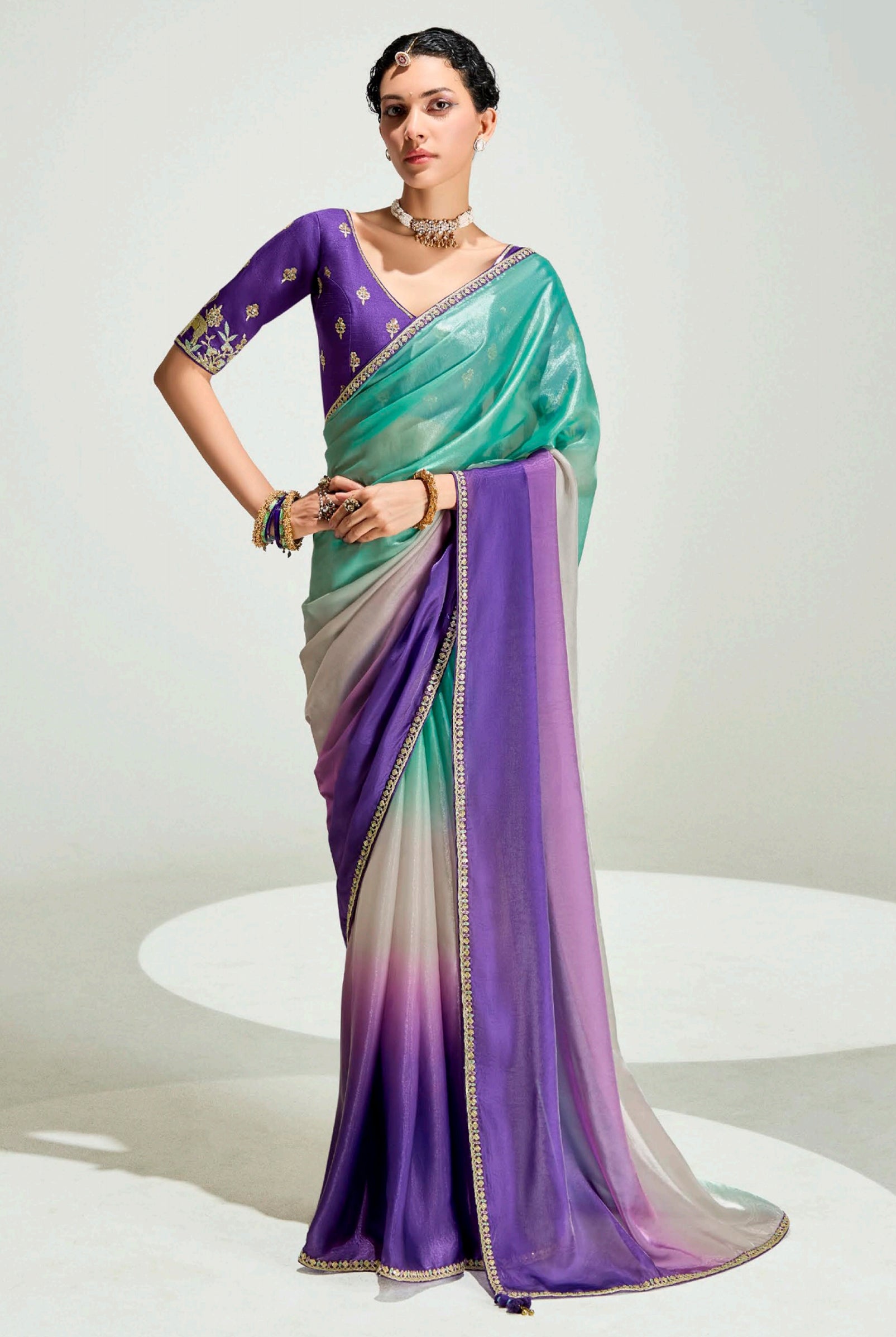 Multicolor Organza Tissue Saree With Border Work and Embroidered Blouse
