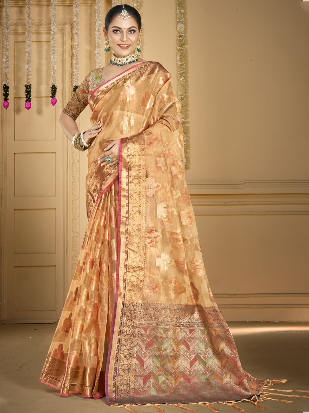 Organza Saree