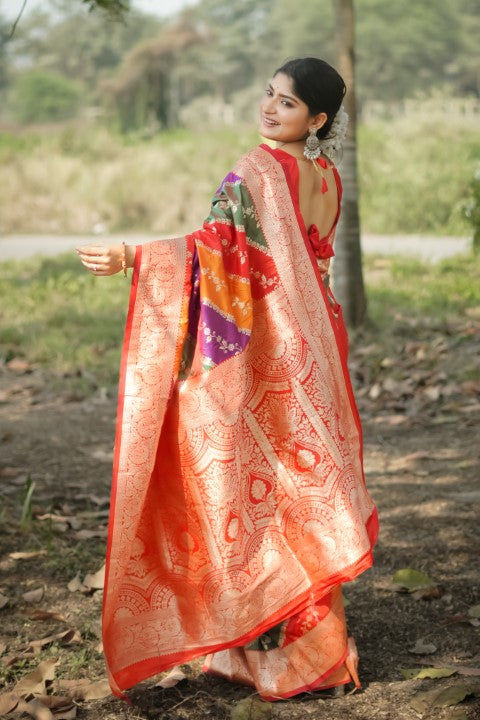 Red Banarasi Silk Saree with Leriya Zari and Contrast Pallu