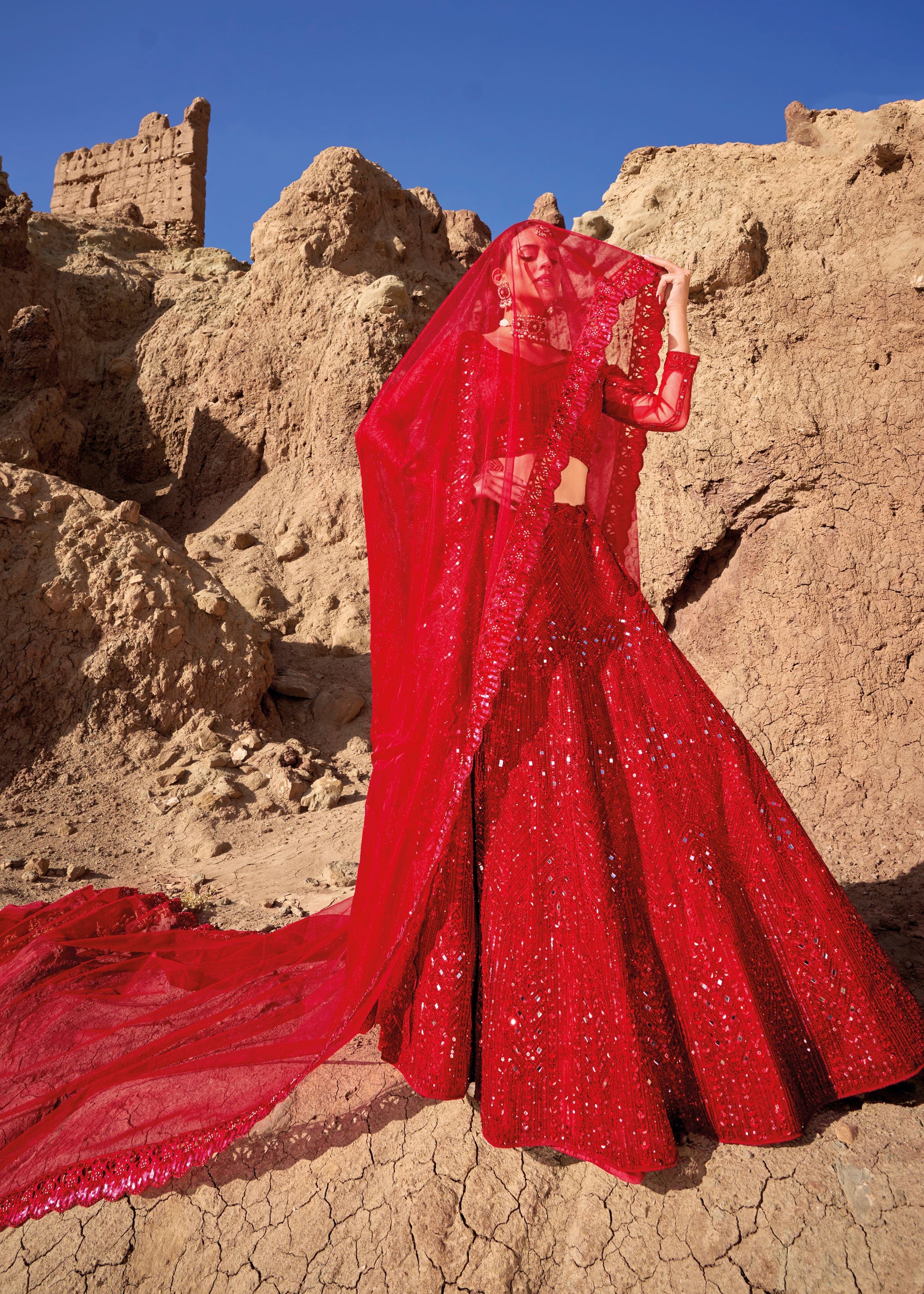 Red Lehenga Choli with Embroidery with Cut Work, Mirror Work and Zarkan Work