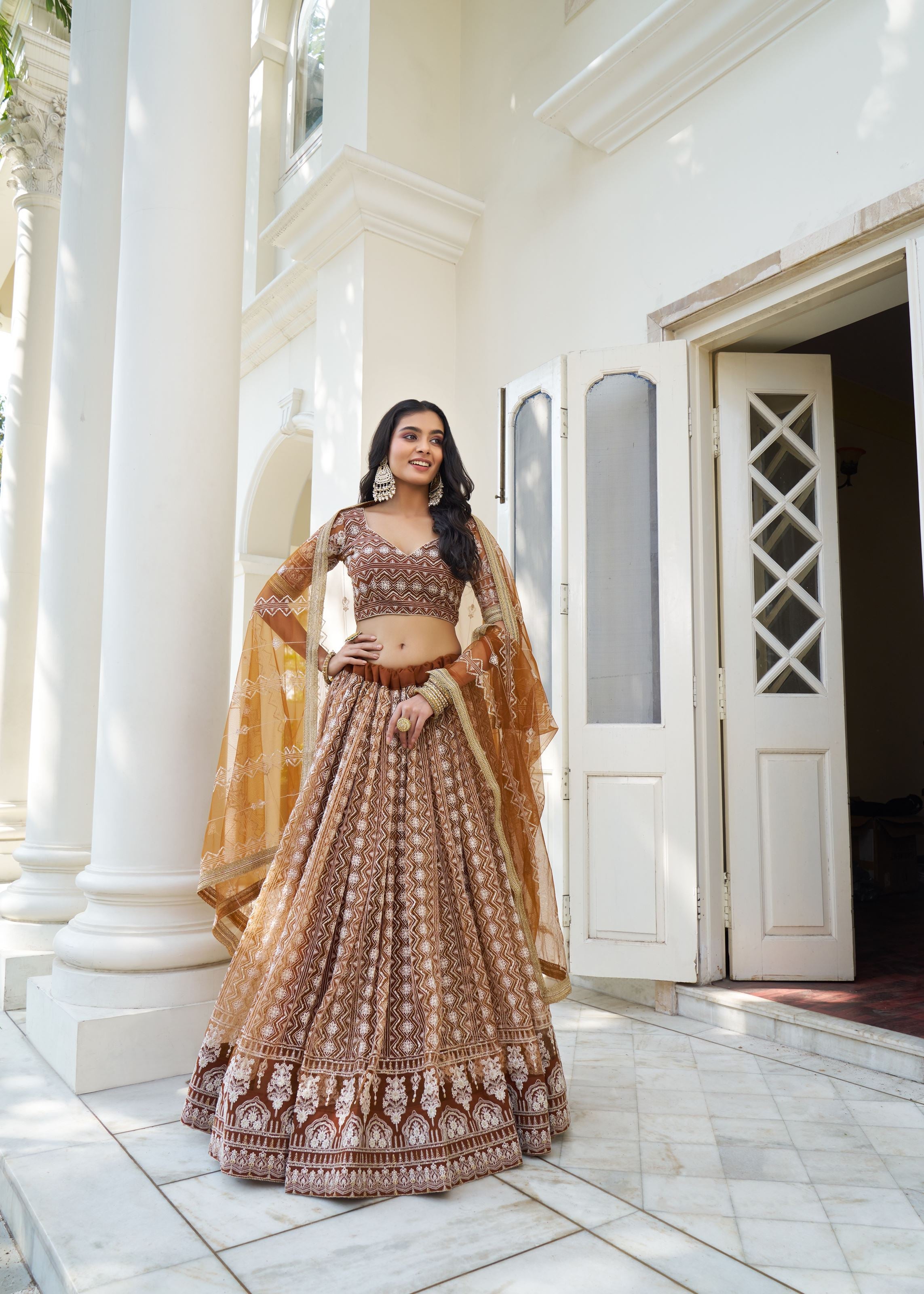 Brown Butterfly Net Lehenga Choli With Designer Thread Work, Zari Work And Sequence Work Embroidery