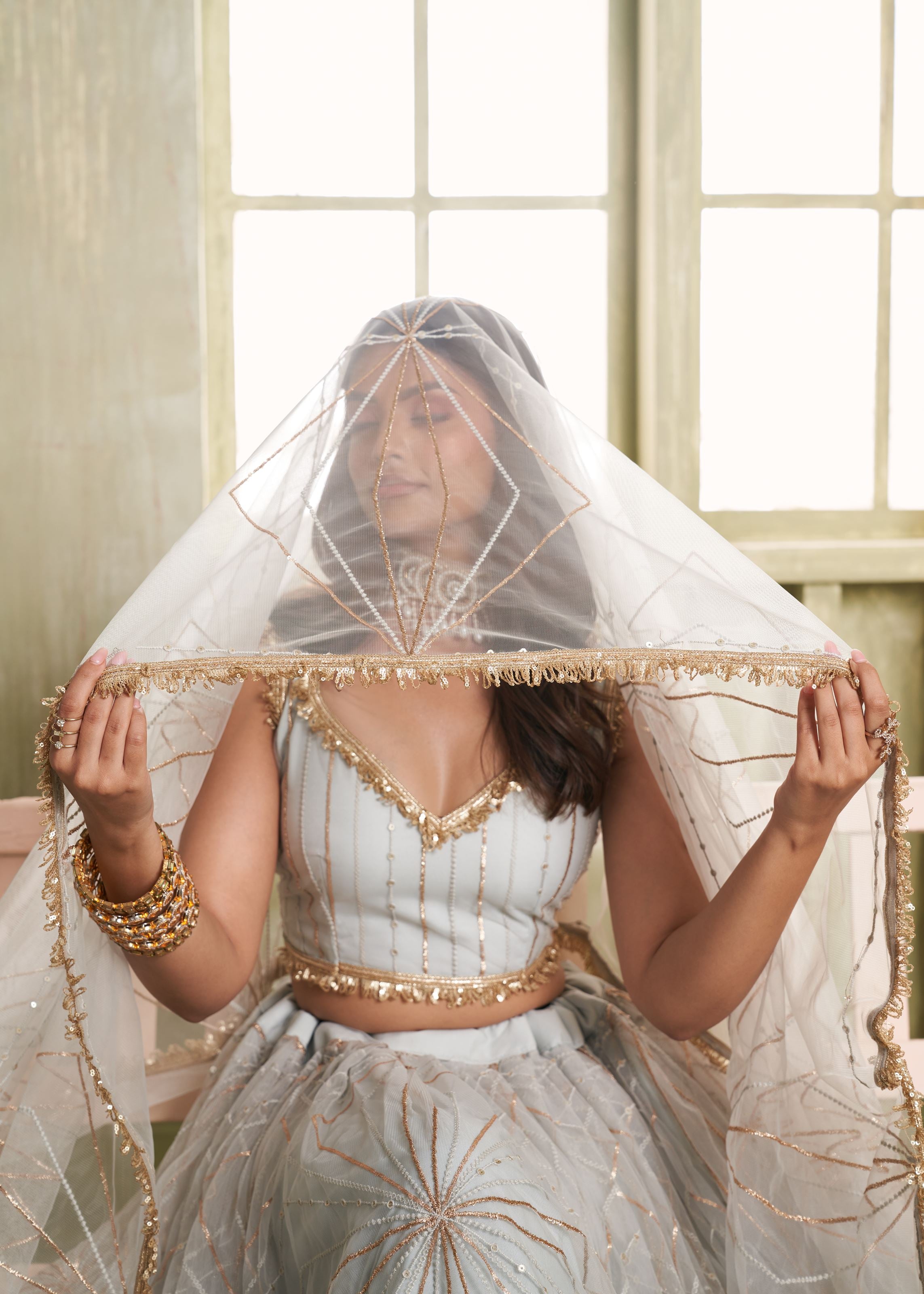 Light Grey Net Lehenga with Thread Zari  Sequence Detailing