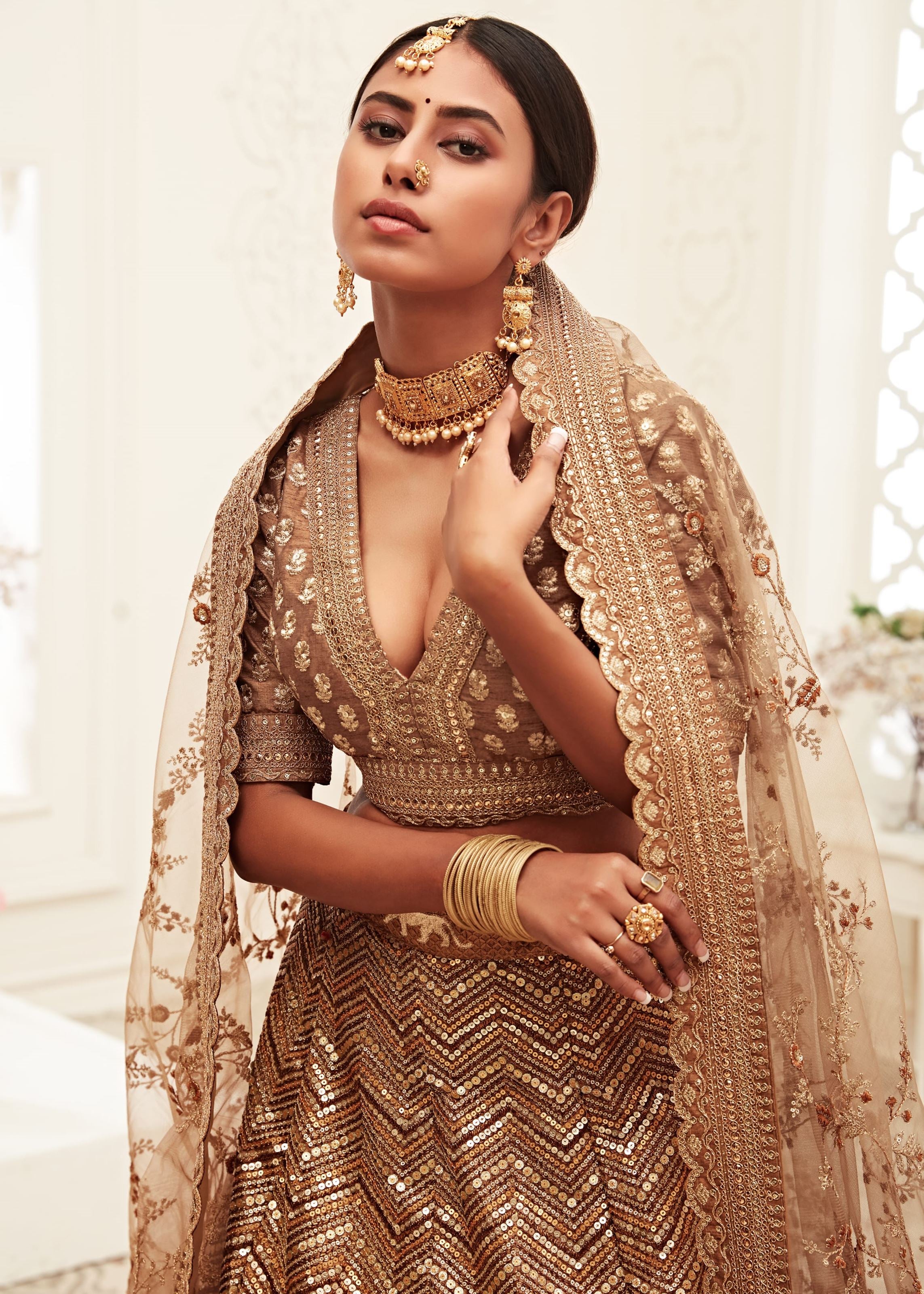 Brown Lehenga Choli With Thread, Zari, Dori And Sequins Embroidery Work