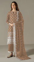 Brown Pakistani Salwar Suit With Heavy Embroidery Work