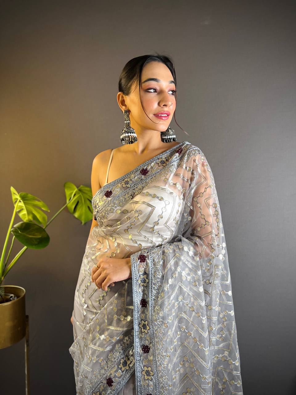 Chiku Colour Butterfly Net Embrodiery Work Saree