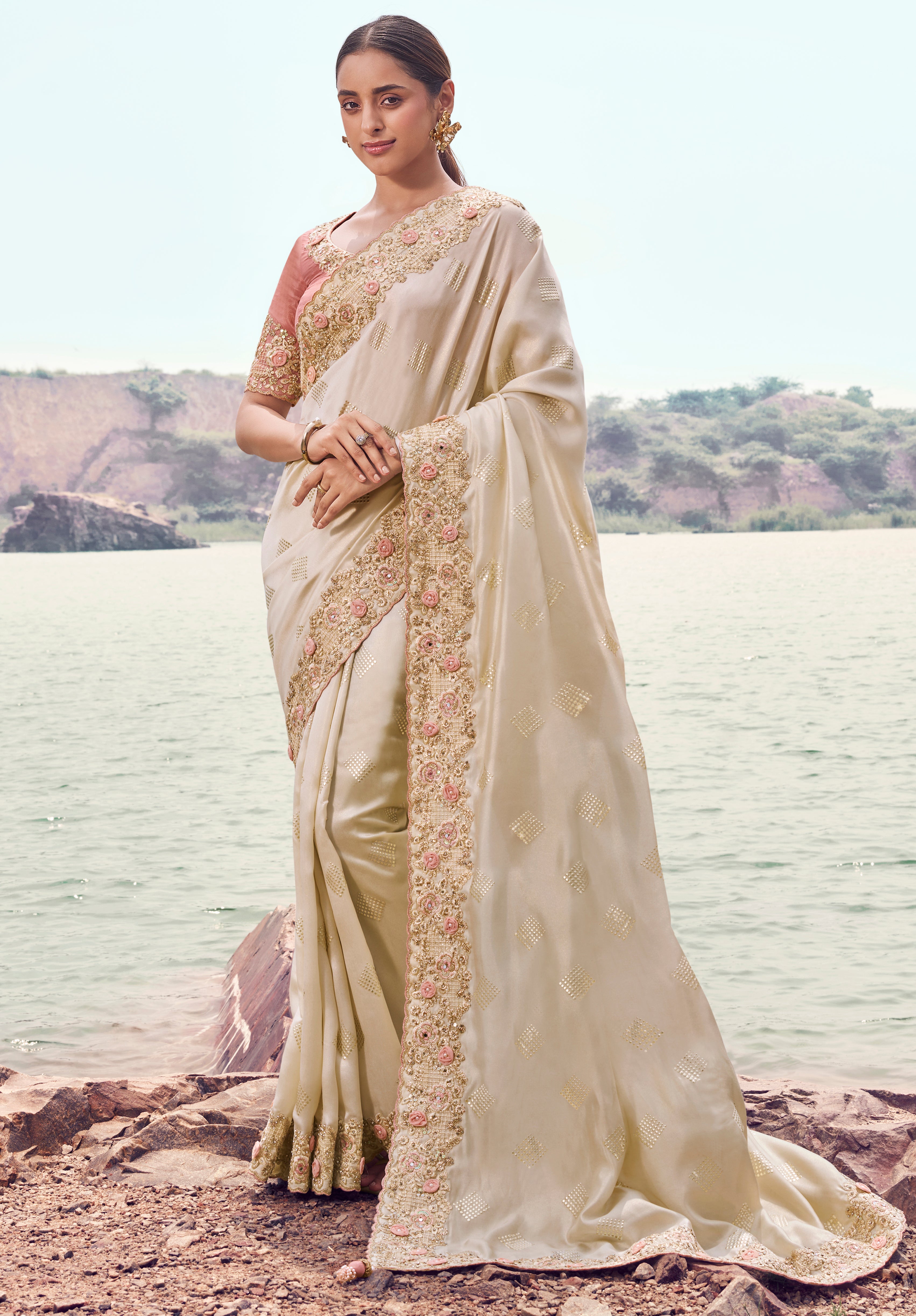 Chiku Saree With  Fancy Work saree With Embroidered Border & Blouse