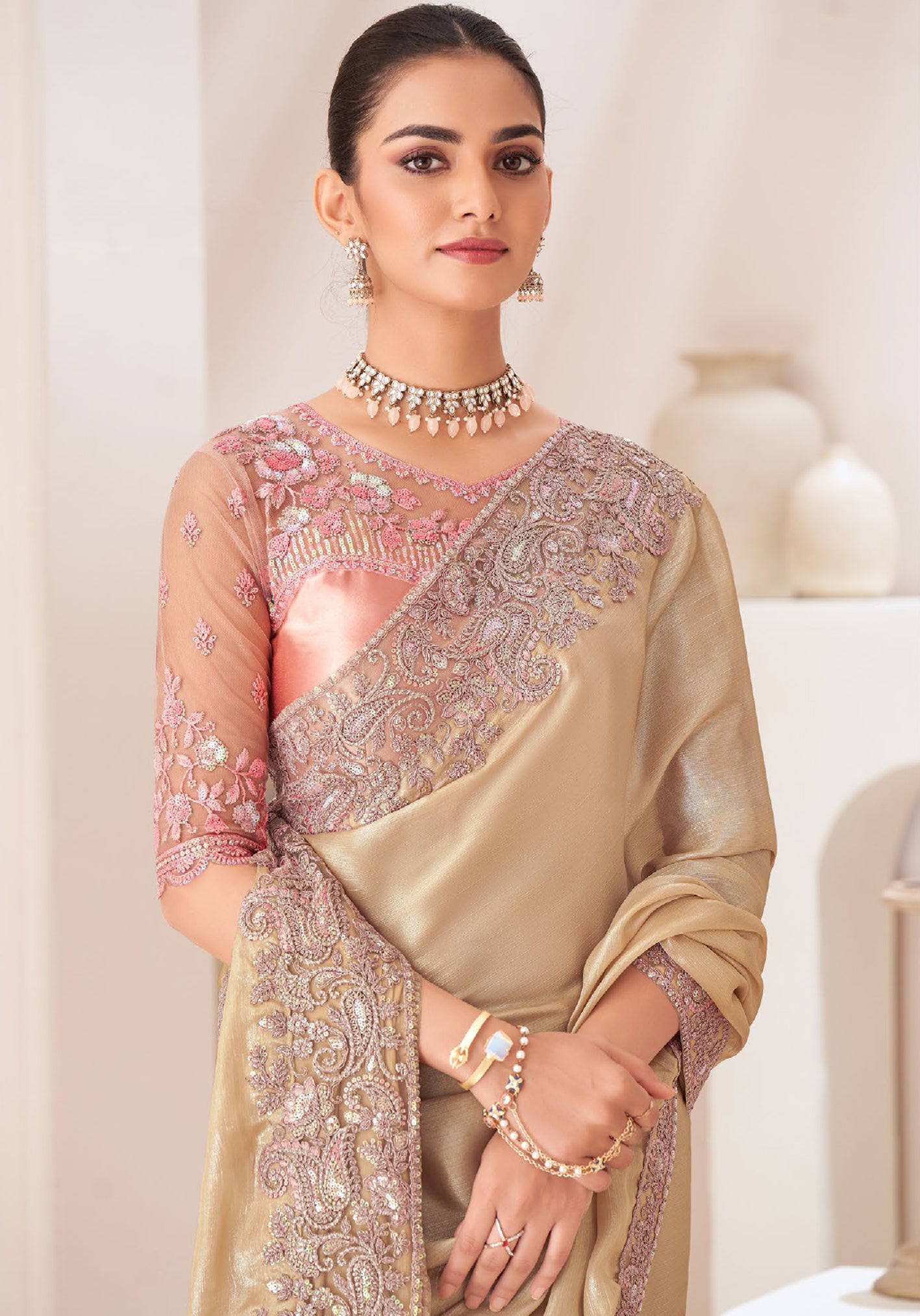 Chiku Saree With Heavy Embroidered Work