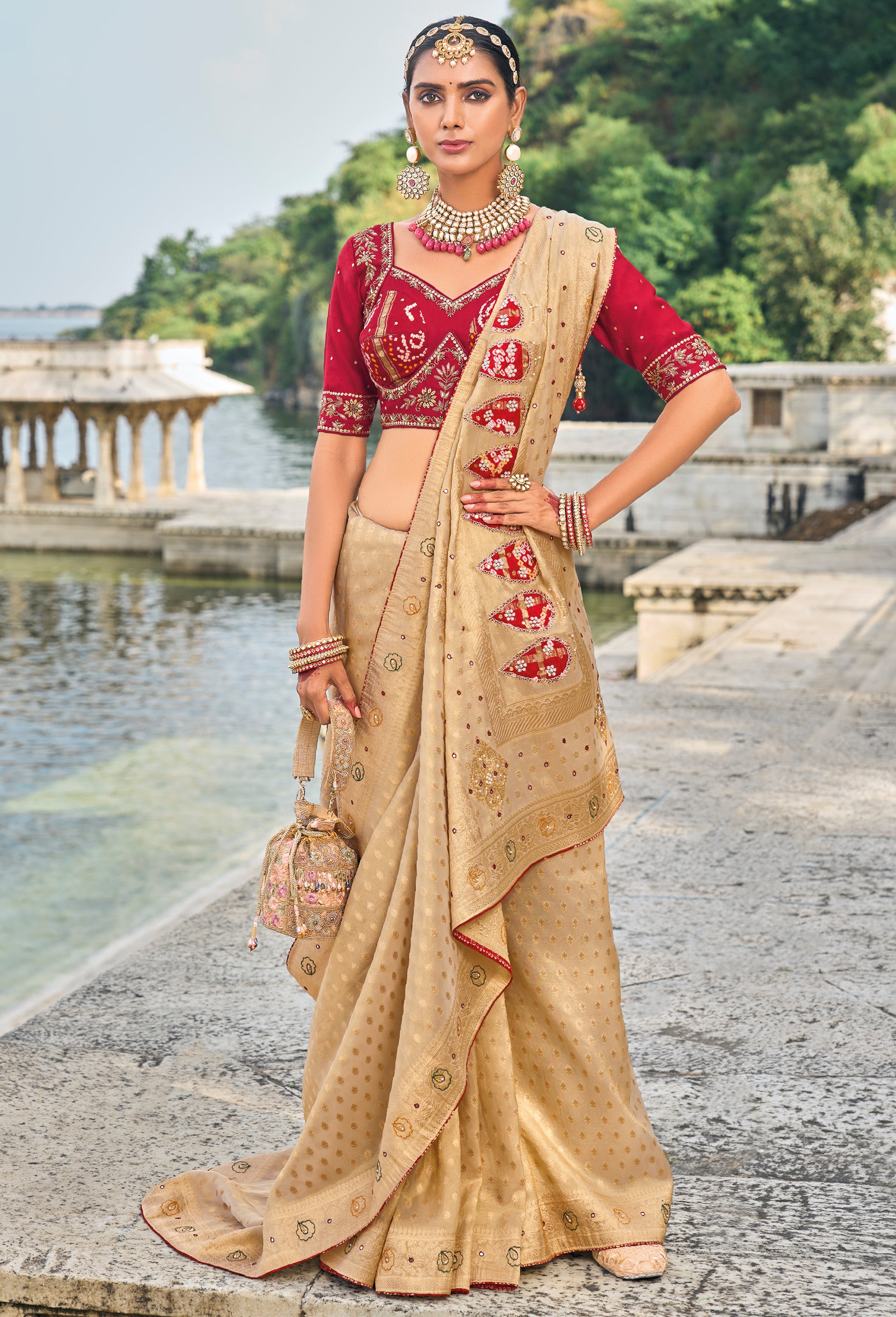 Chiku Saree With Heavy Embroidered Work