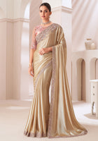 Chiku Saree With Heavy Embroidered Work