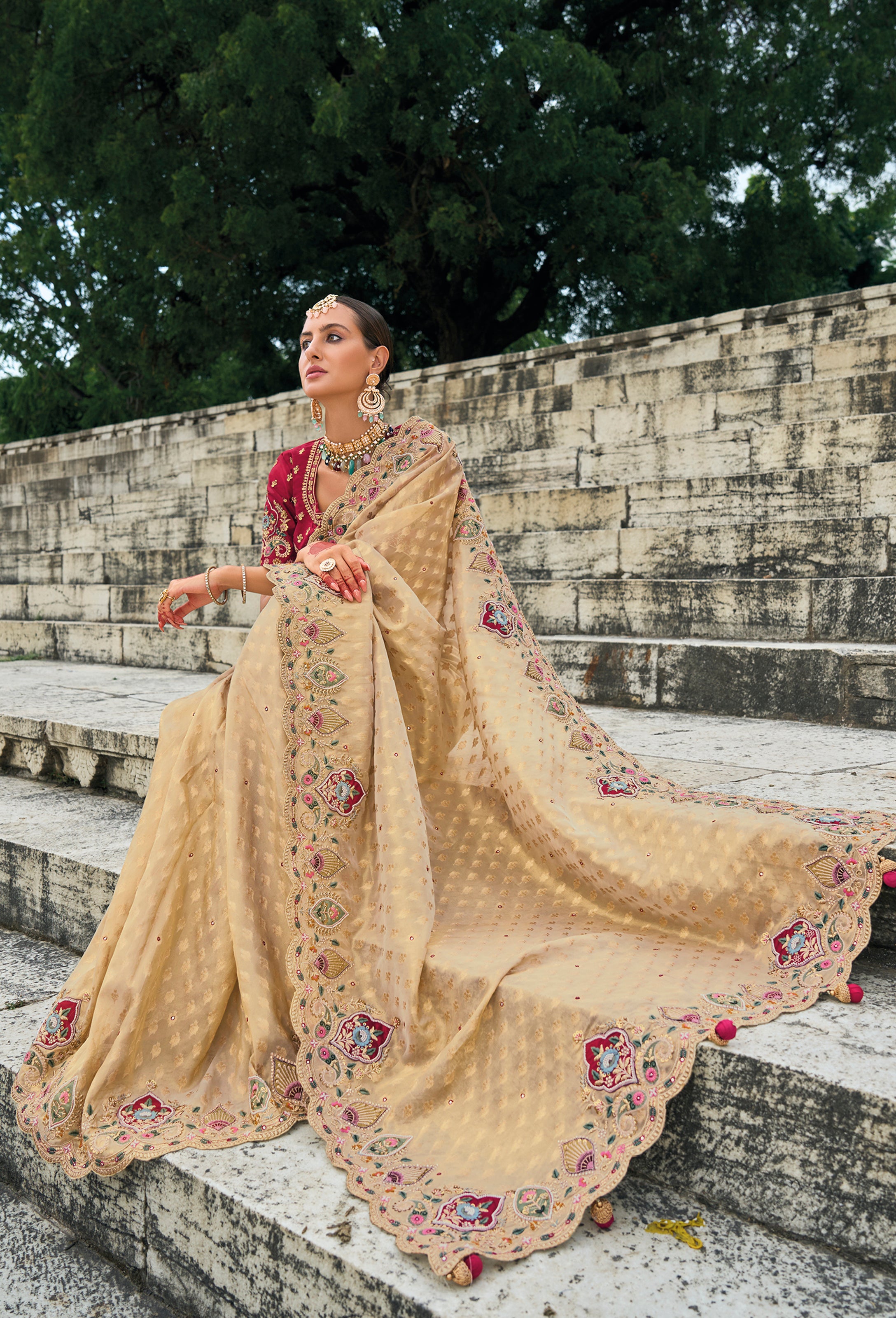 Chiku Saree With Heavy Embroidered Work