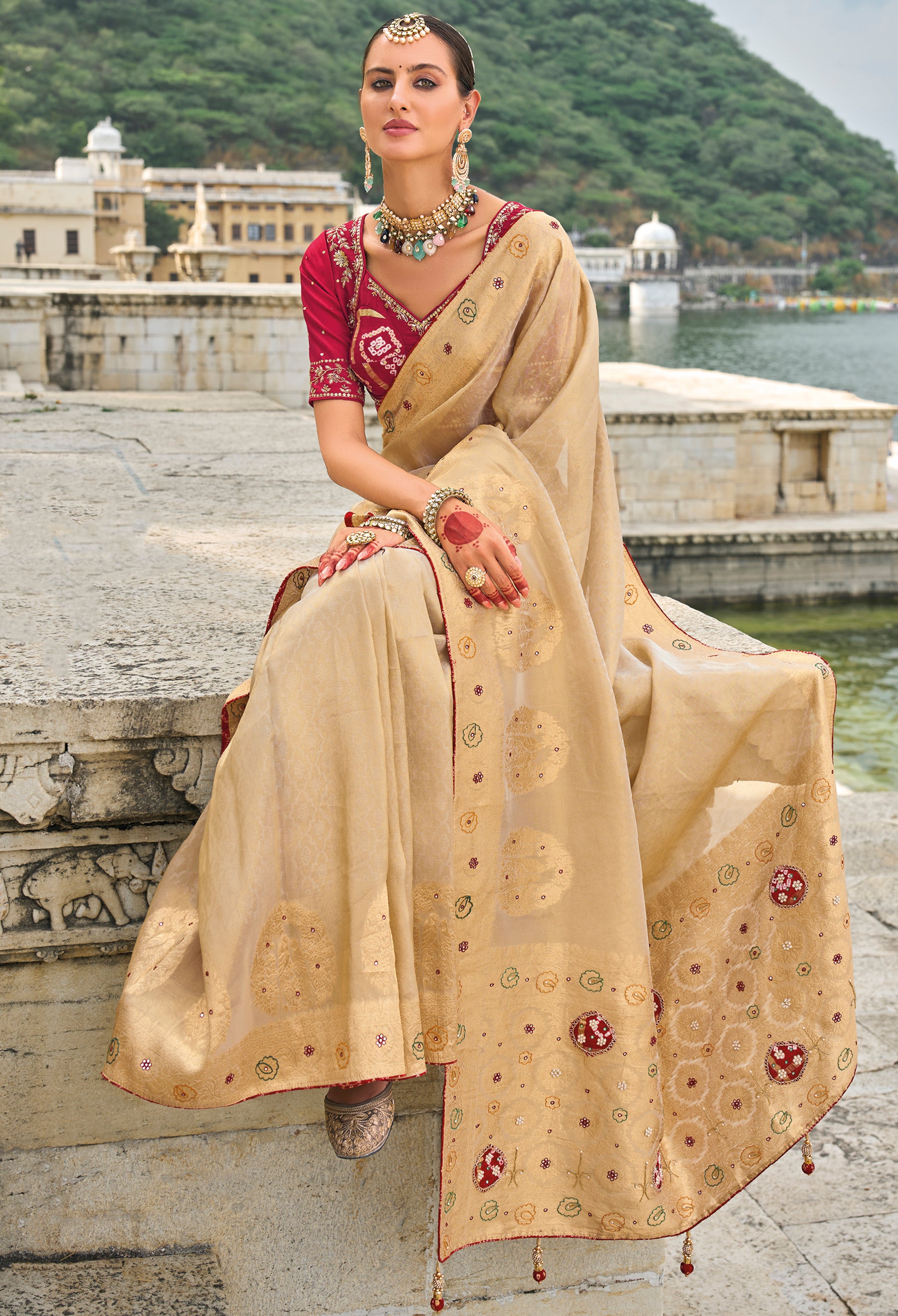 Chiku Saree With Heavy Embroidered Work