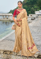 Chiku Saree With Heavy Embroidered Work
