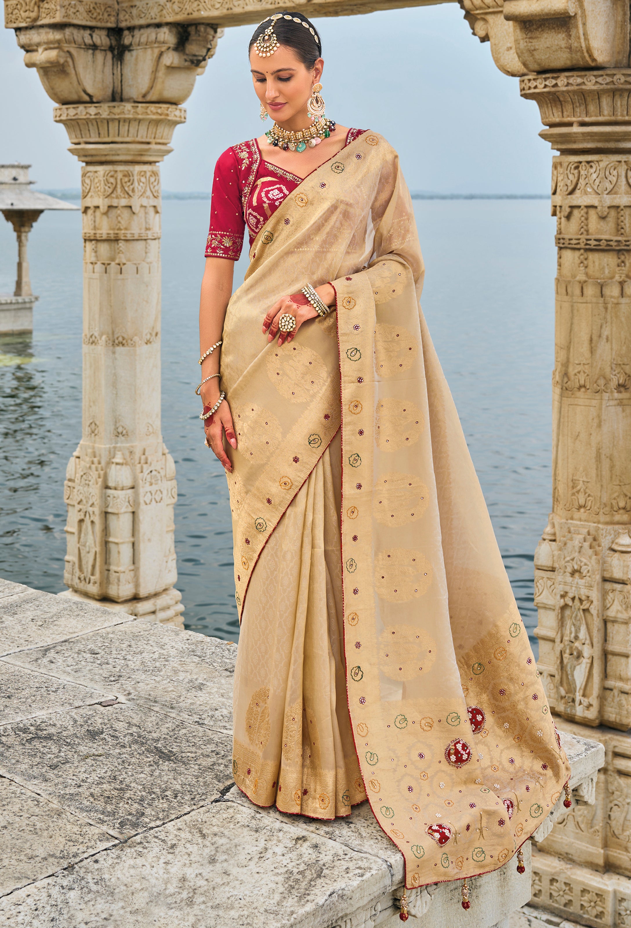 Chiku Saree With Heavy Embroidered Work