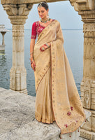 Chiku Saree With Heavy Embroidered Work