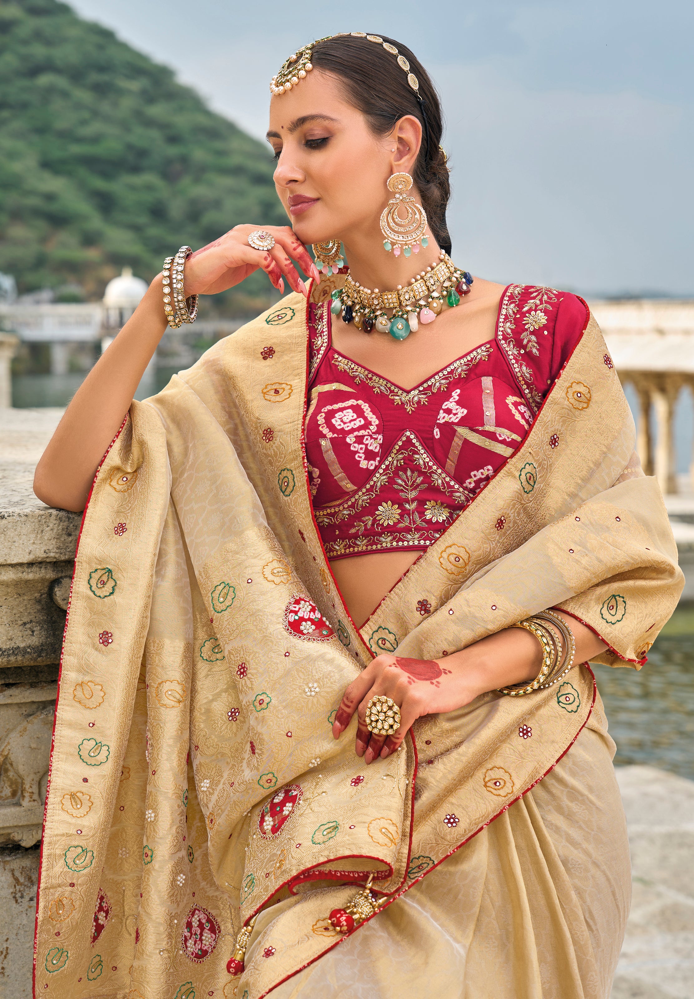 Chiku Saree With Heavy Embroidered Work