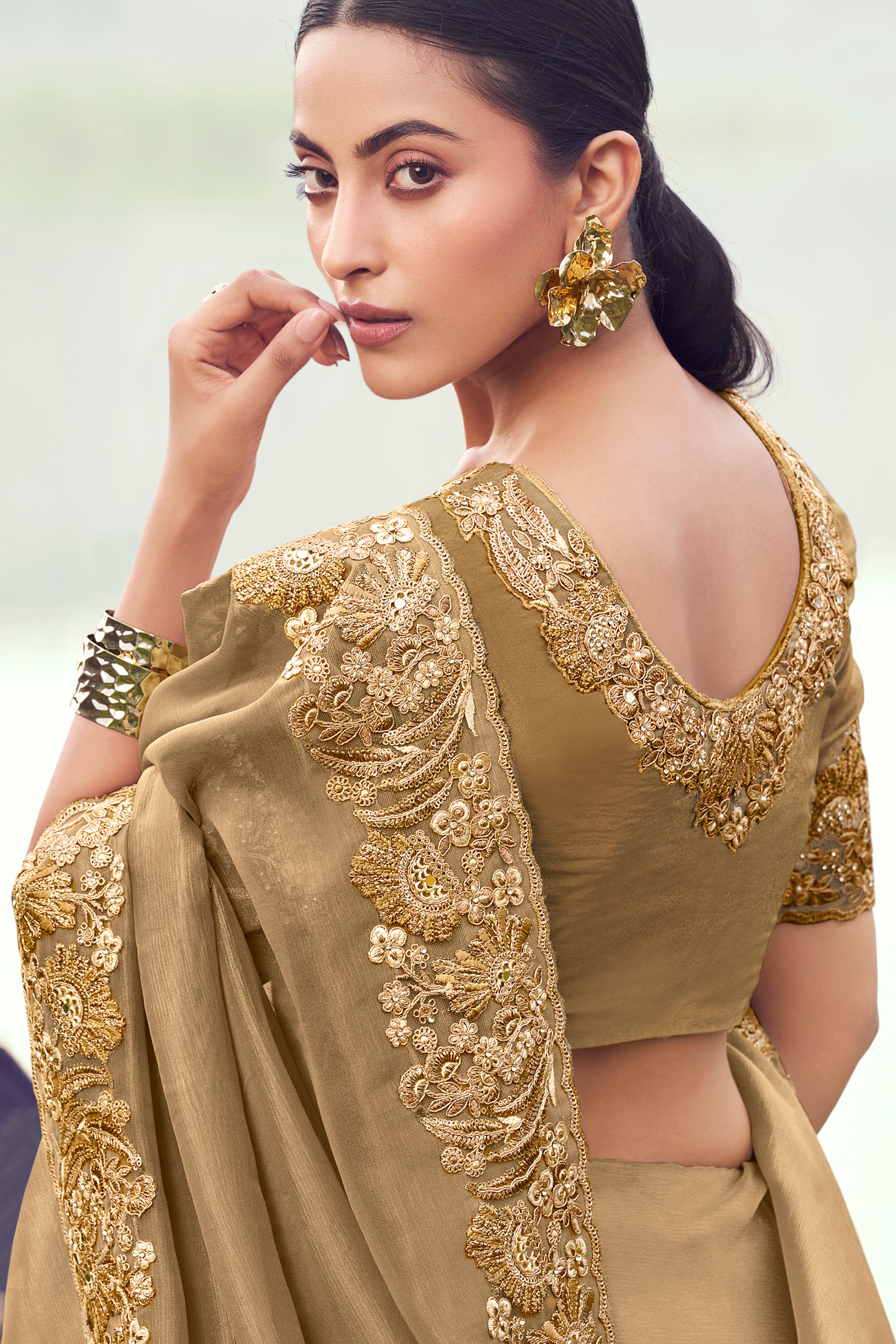 Chiku Saree With  Heavy Thread Embroidered With Sequins Work