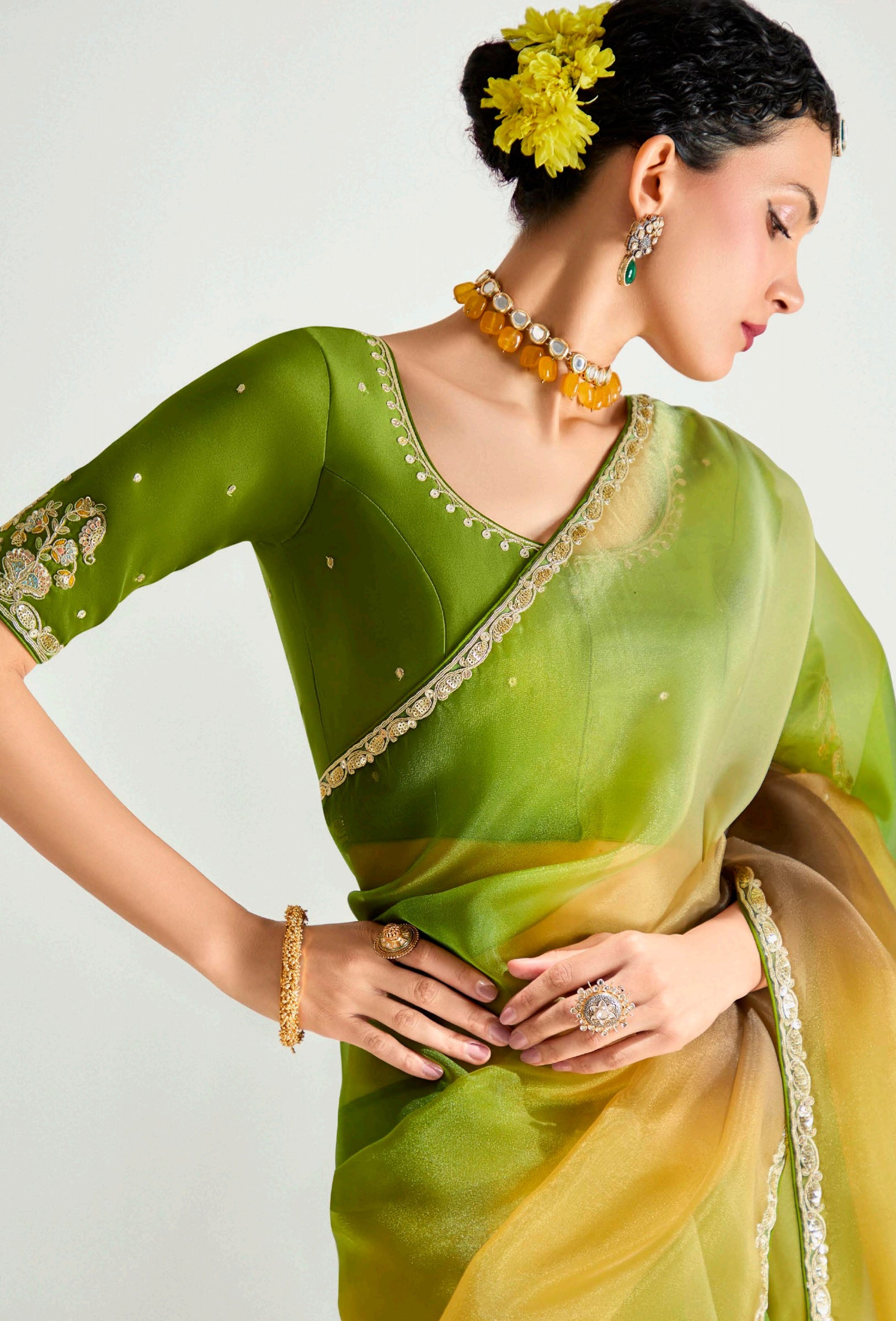 Multicolor Organza Tissue Saree With Border Work & Embroidered Blouse