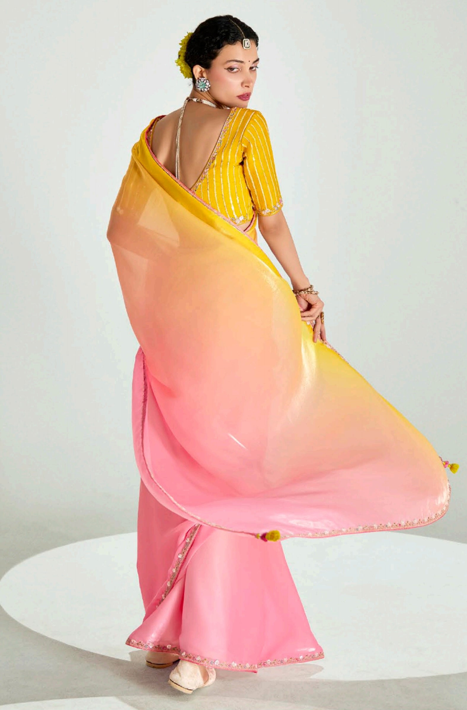 Multicolor Organza Tissue Saree With  Border Work and Embroidered Blouse