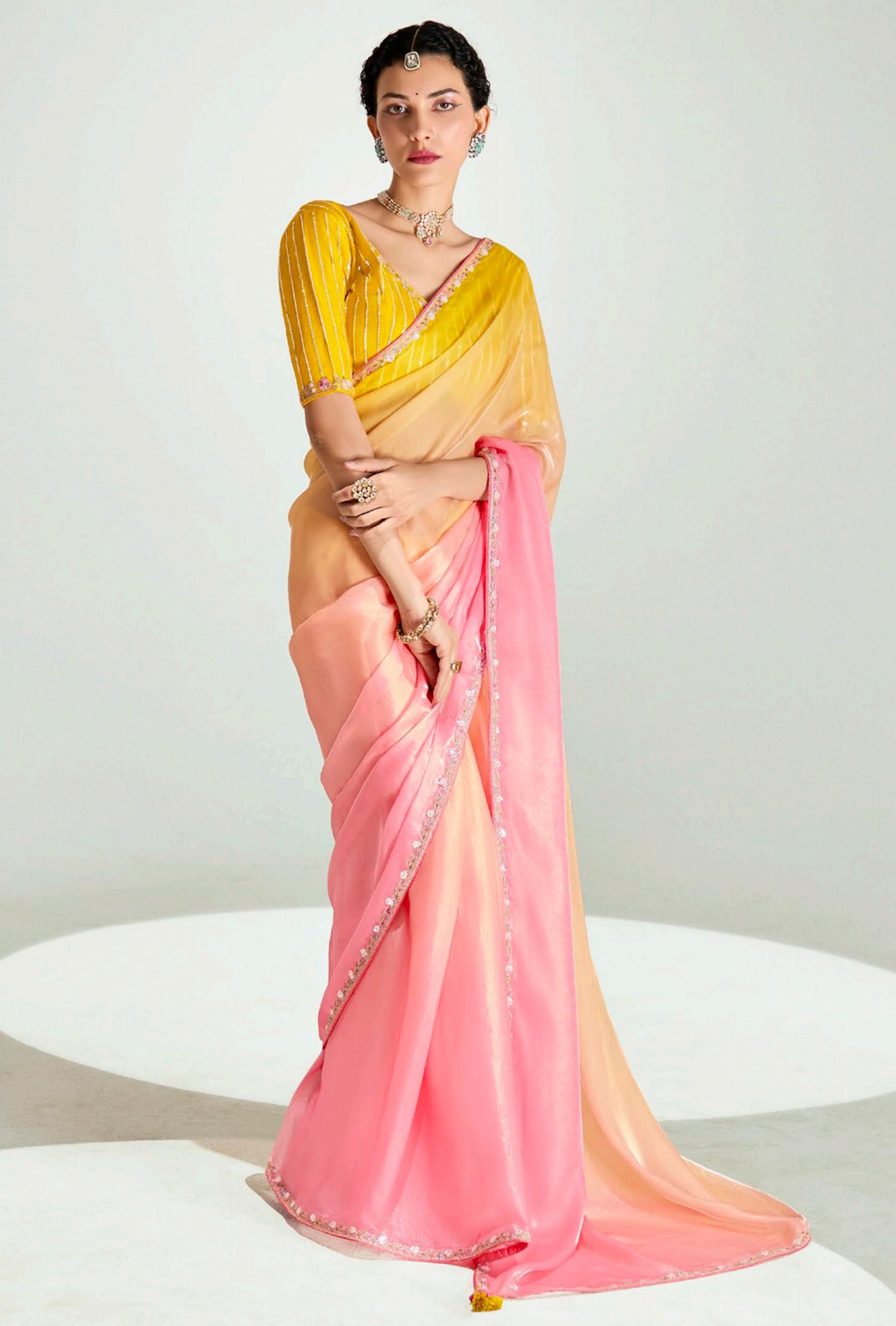 Multicolor Organza Tissue Saree With  Border Work and Embroidered Blouse