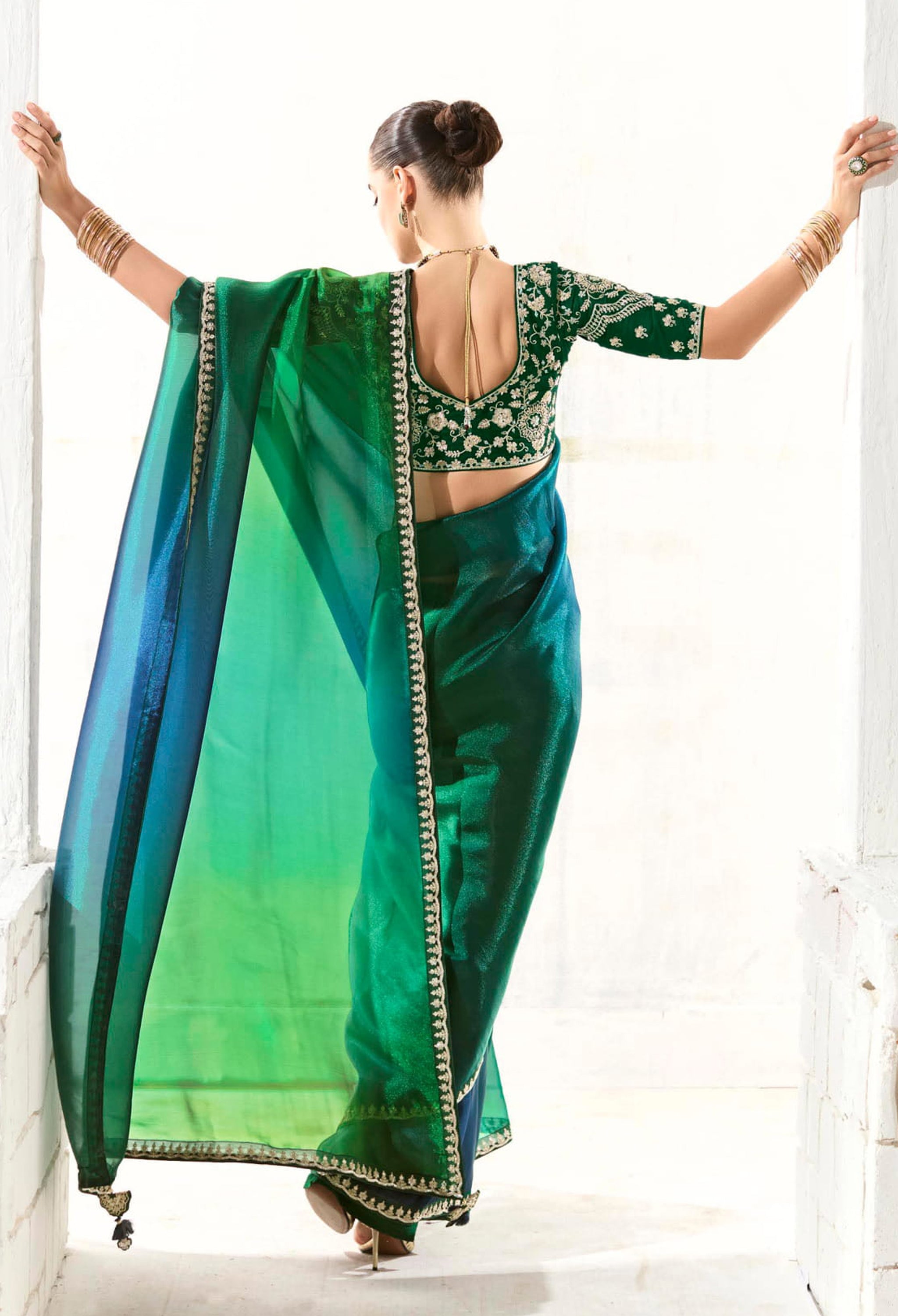 Multicolor Organza Tissue Saree With  Heavy Work Border With Embroidered Blouse