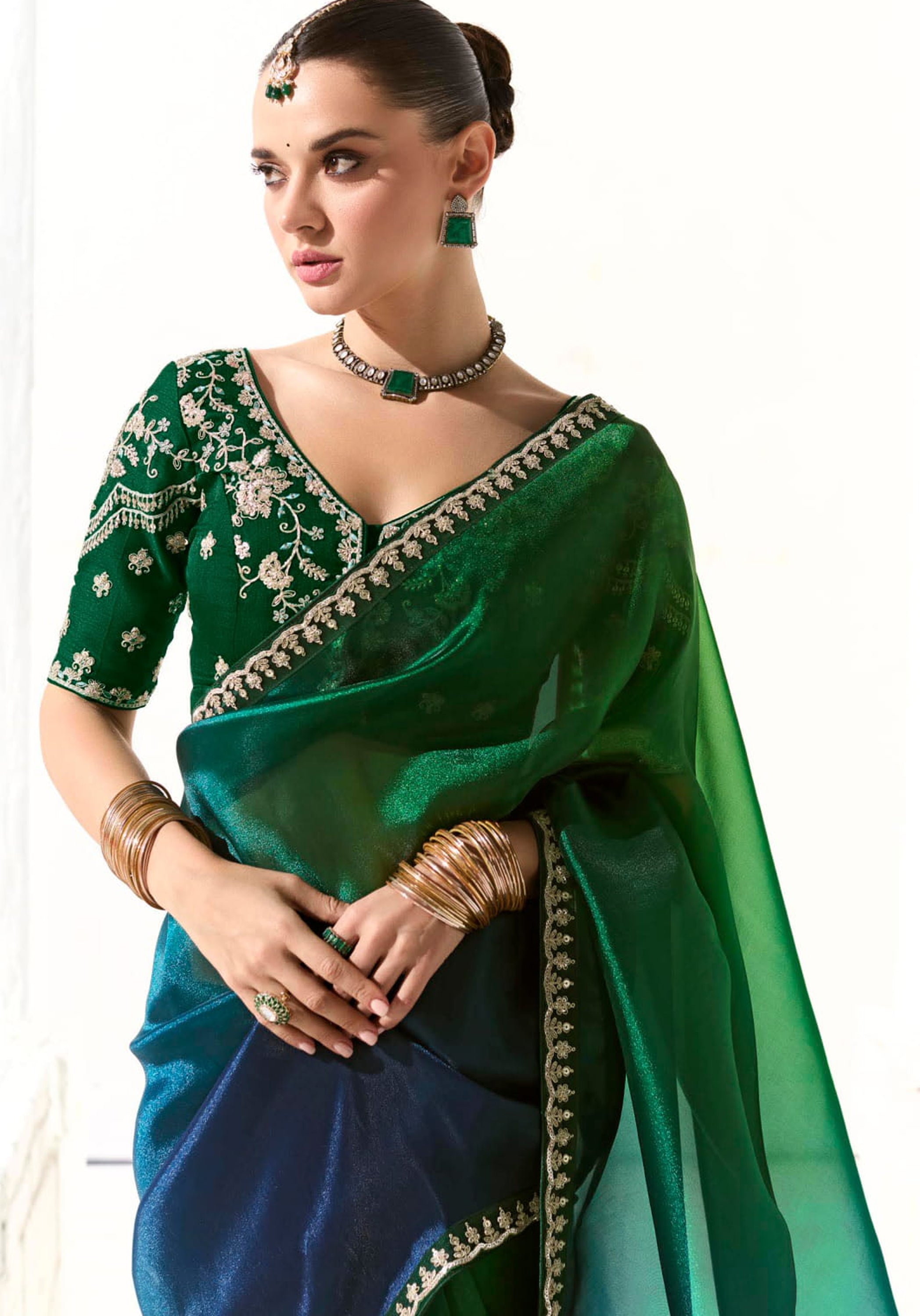 Multicolor Organza Tissue Saree With  Heavy Work Border With Embroidered Blouse