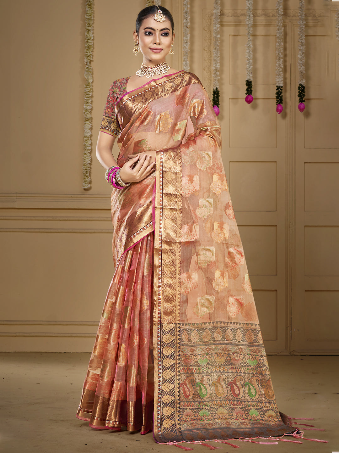 ORGANZA Saree