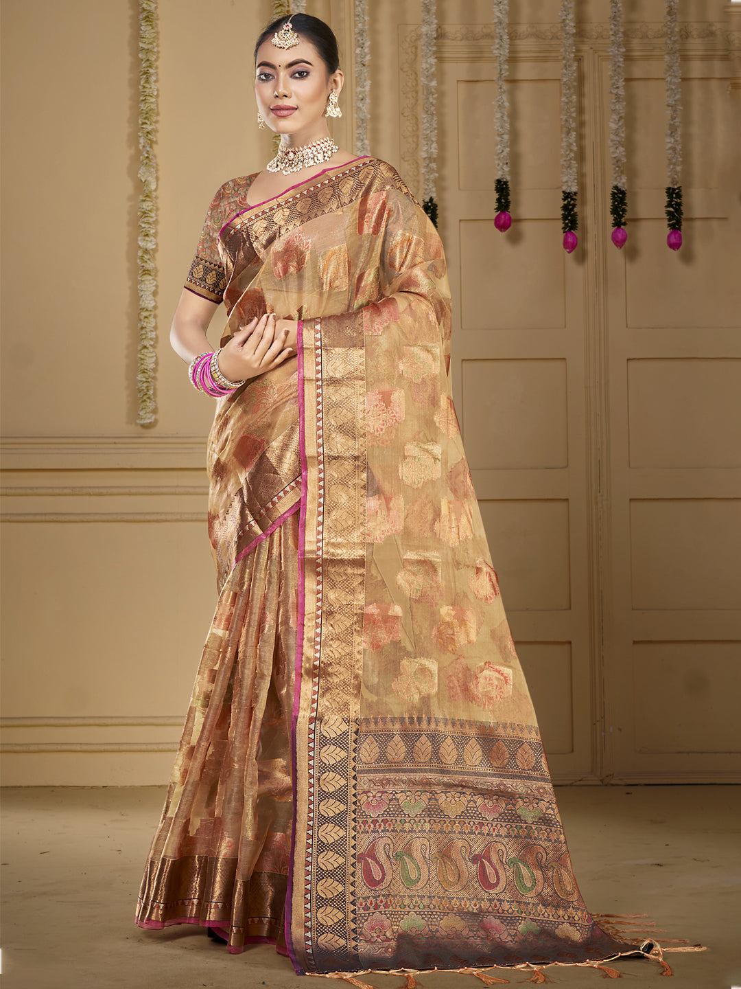 ORGANZA Saree