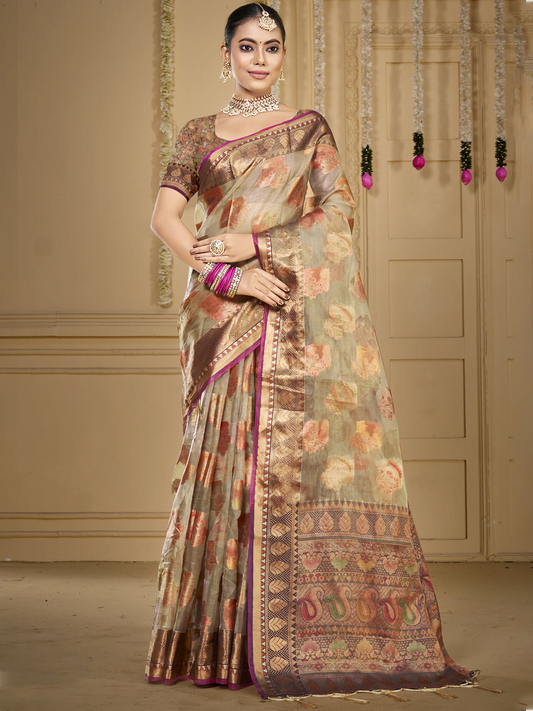 ORGANZA Saree