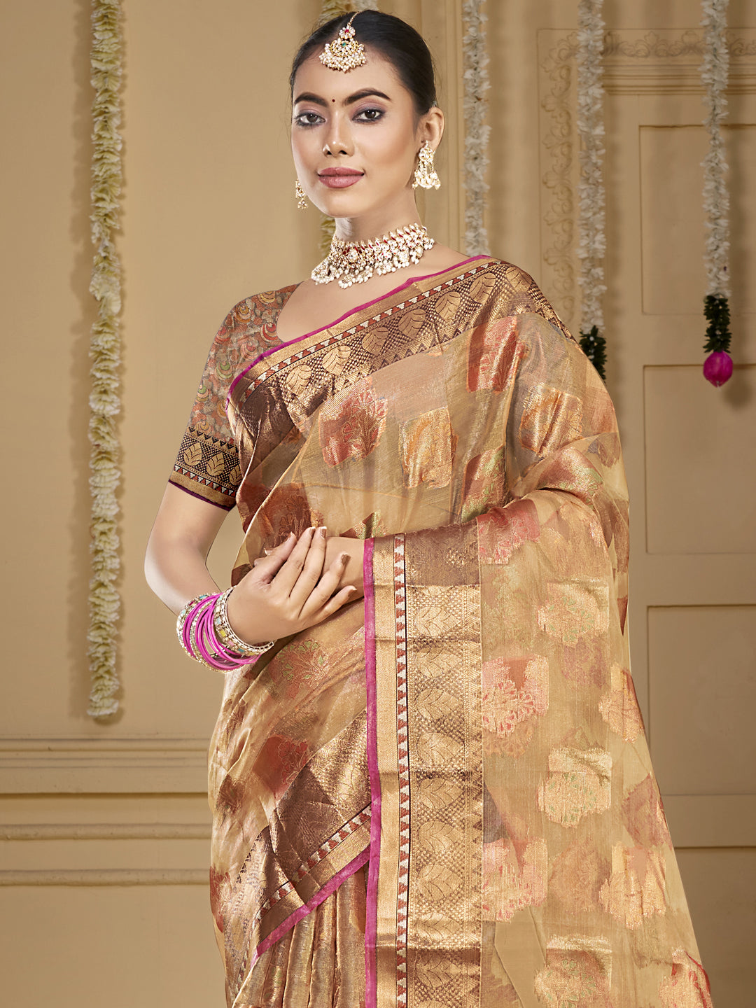 ORGANZA Saree