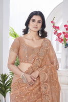 Peach Beautiful Tissue Net Sequins Work Saree