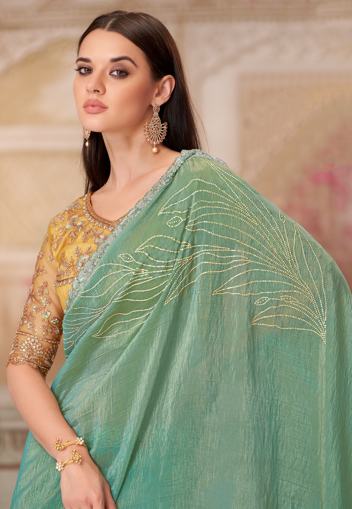 Pista Green Saree With  Heavy Thread Embroidery, Stone Sequins Border Work With Embroidery Blouse