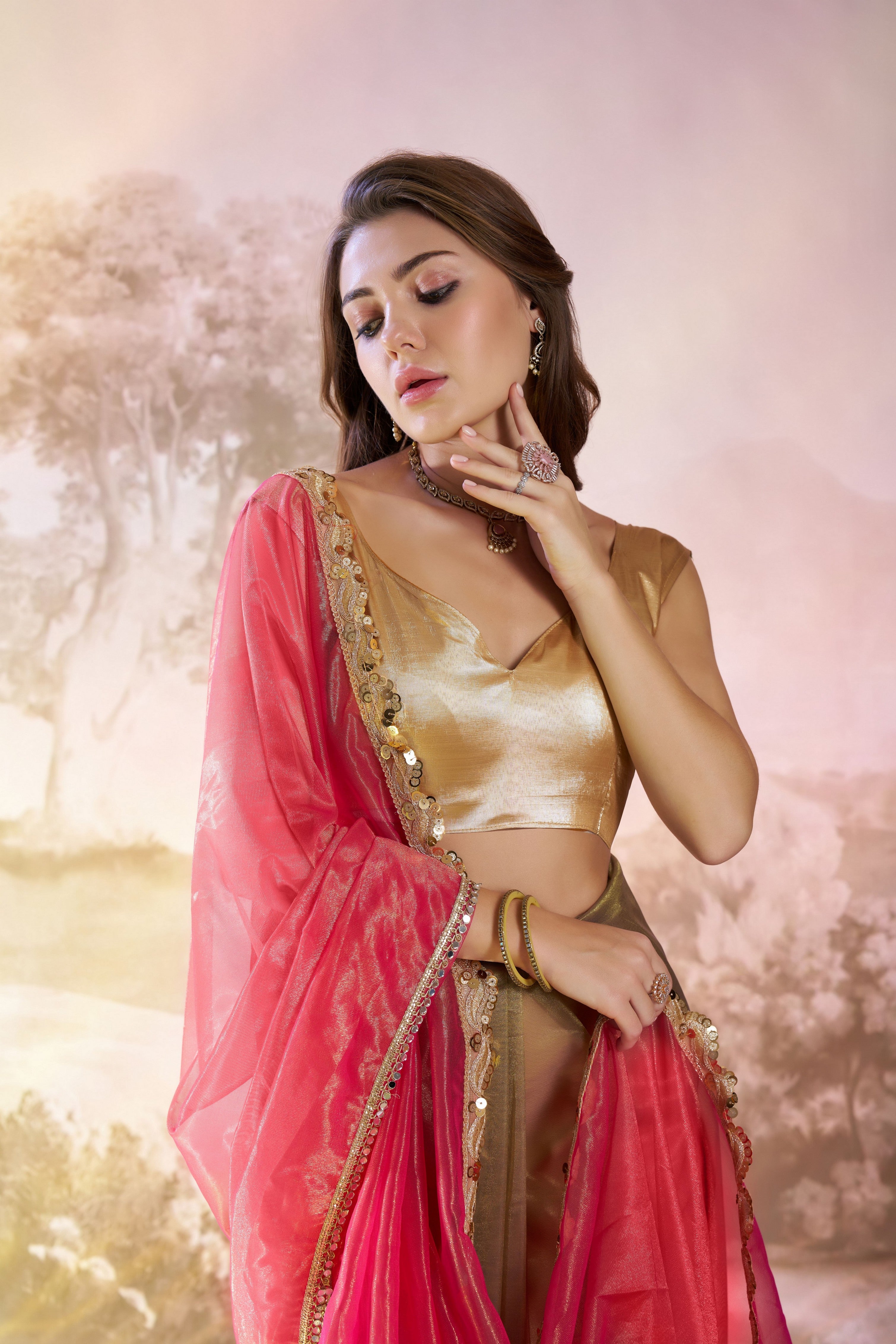 Rust Twill Net Solid Fancy Designer Bollywood Style Saree